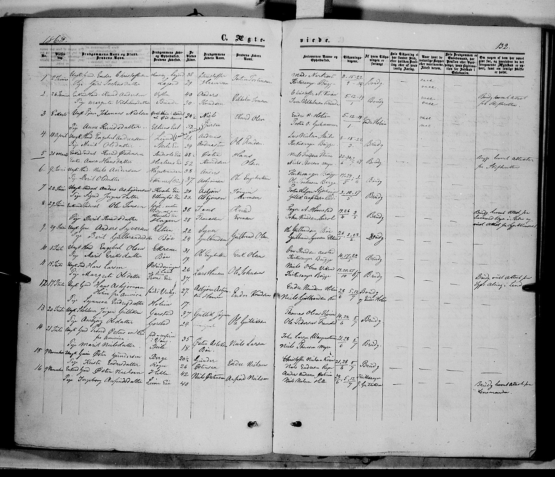 Vang prestekontor, Valdres, SAH/PREST-140/H/Ha/L0007: Parish register (official) no. 7, 1865-1881, p. 132