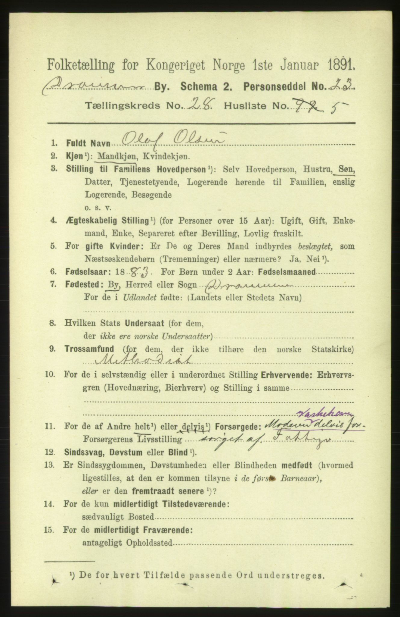 RA, 1891 census for 0602 Drammen, 1891, p. 16799