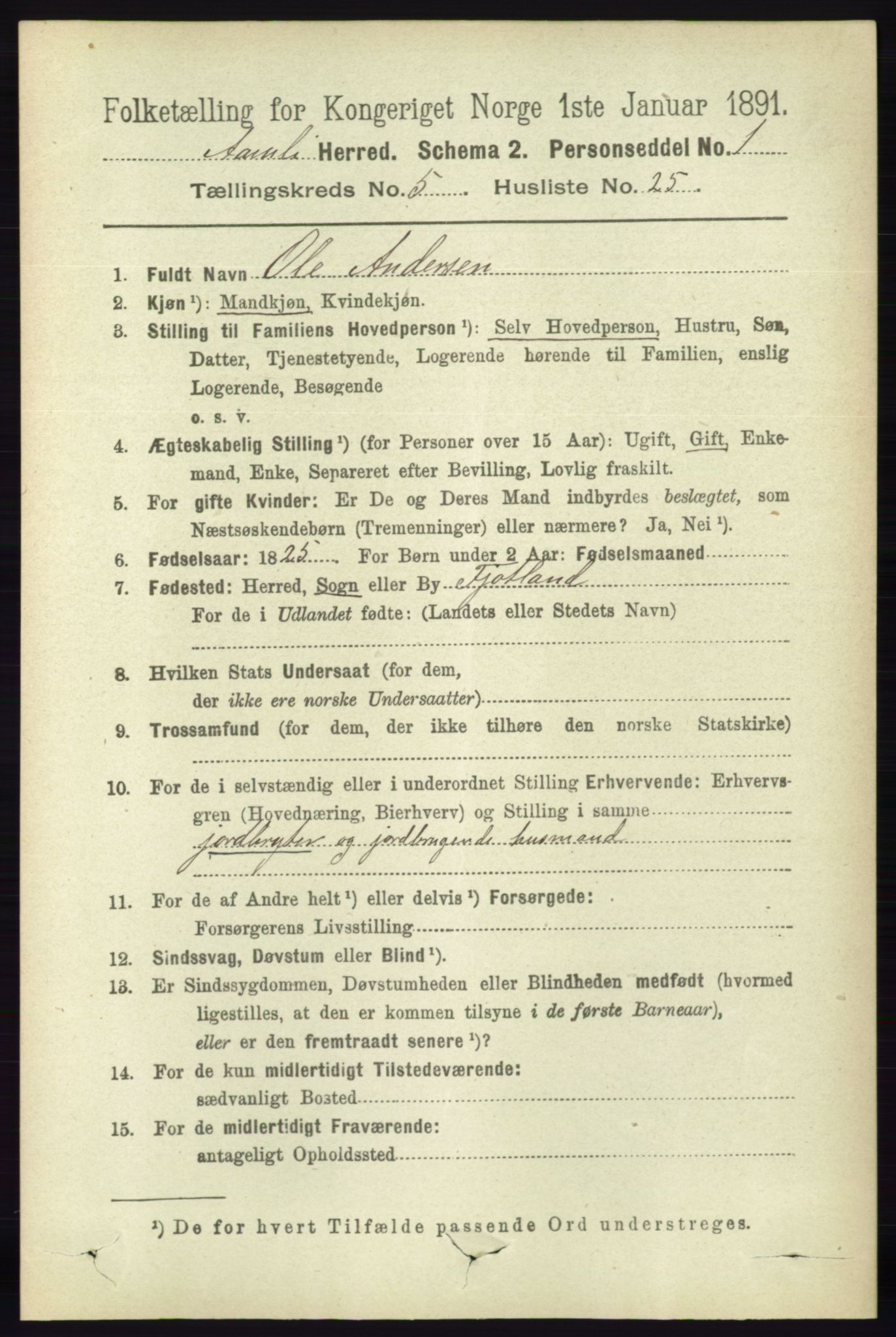 RA, 1891 census for 0929 Åmli, 1891, p. 851