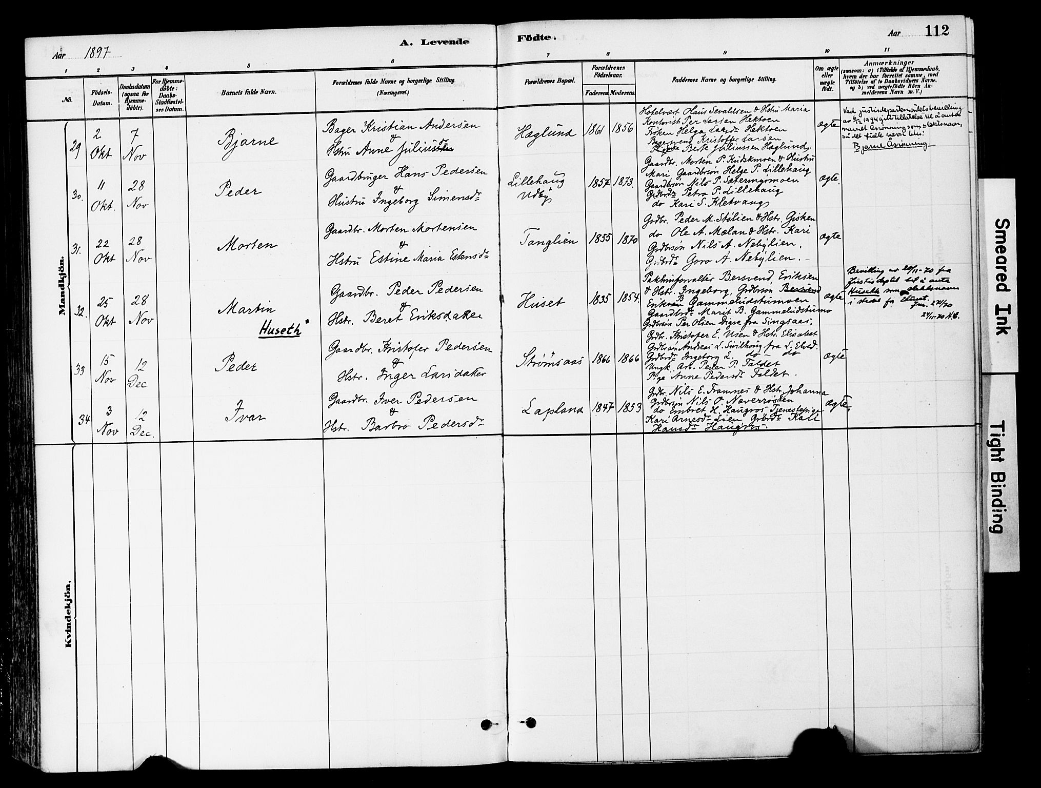 Tynset prestekontor, SAH/PREST-058/H/Ha/Haa/L0022: Parish register (official) no. 22, 1880-1899, p. 112