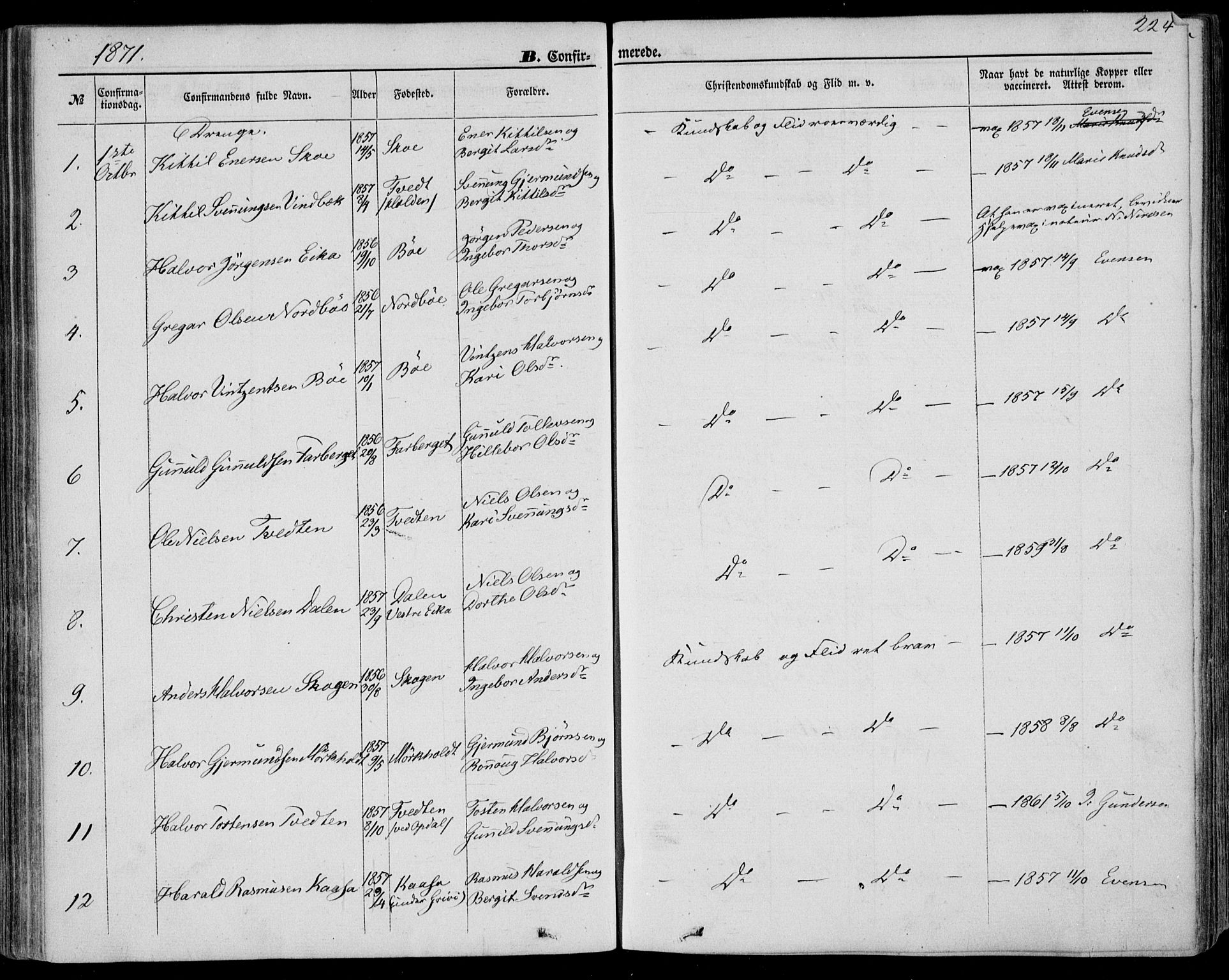 Bø kirkebøker, SAKO/A-257/F/Fa/L0009: Parish register (official) no. 9, 1862-1879, p. 224