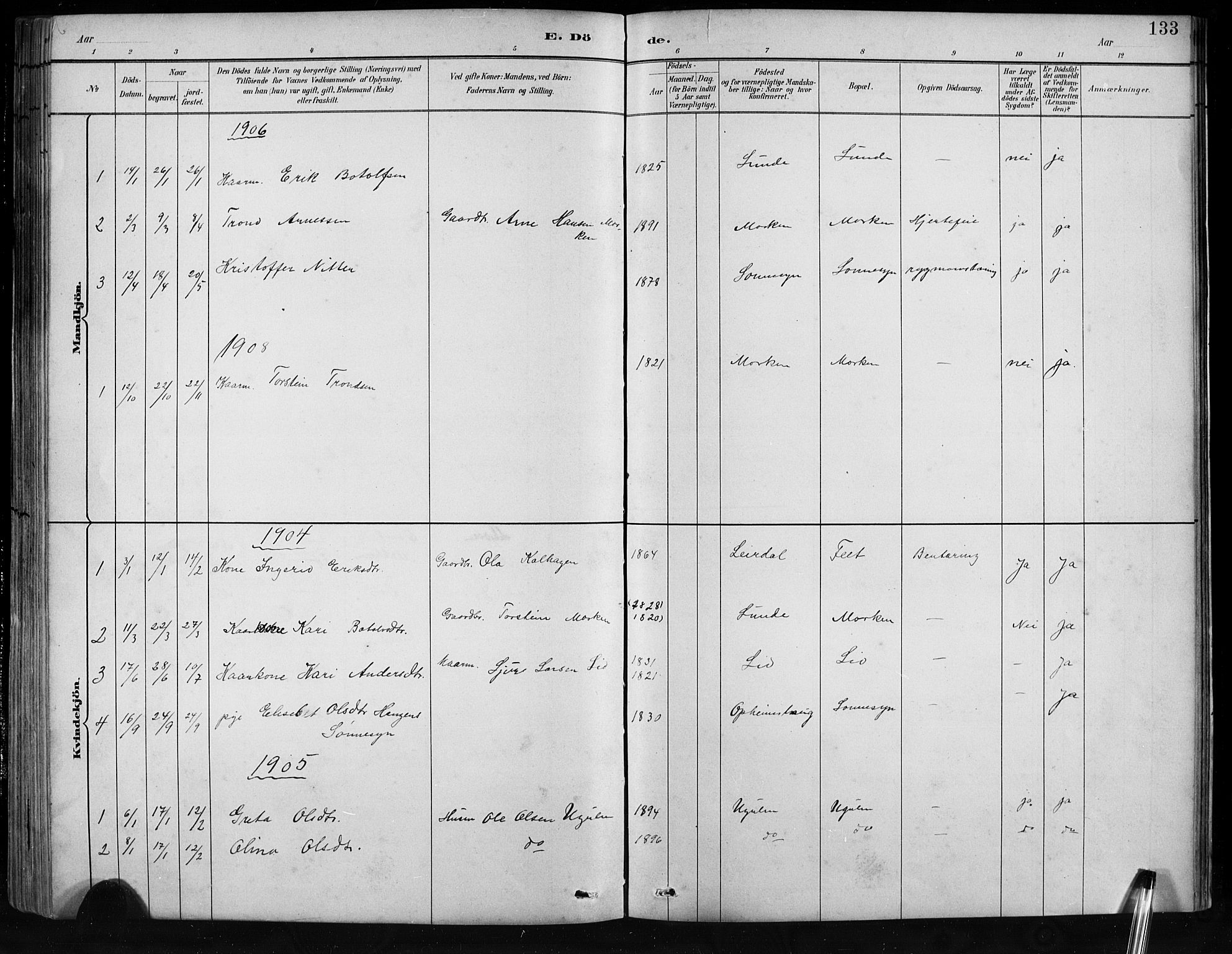 Jostedal sokneprestembete, AV/SAB-A-80601/H/Hab/Habb/L0001: Parish register (copy) no. B 1, 1882-1921, p. 133