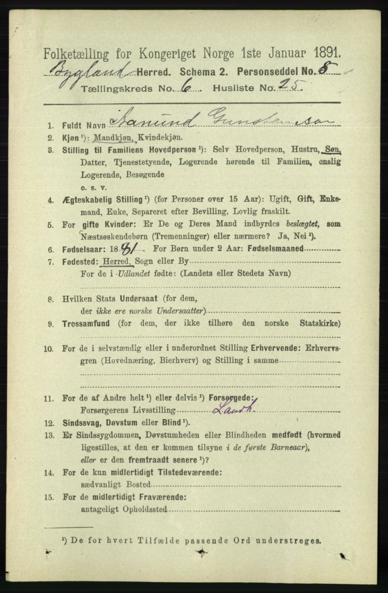 RA, 1891 census for 0938 Bygland, 1891, p. 1493