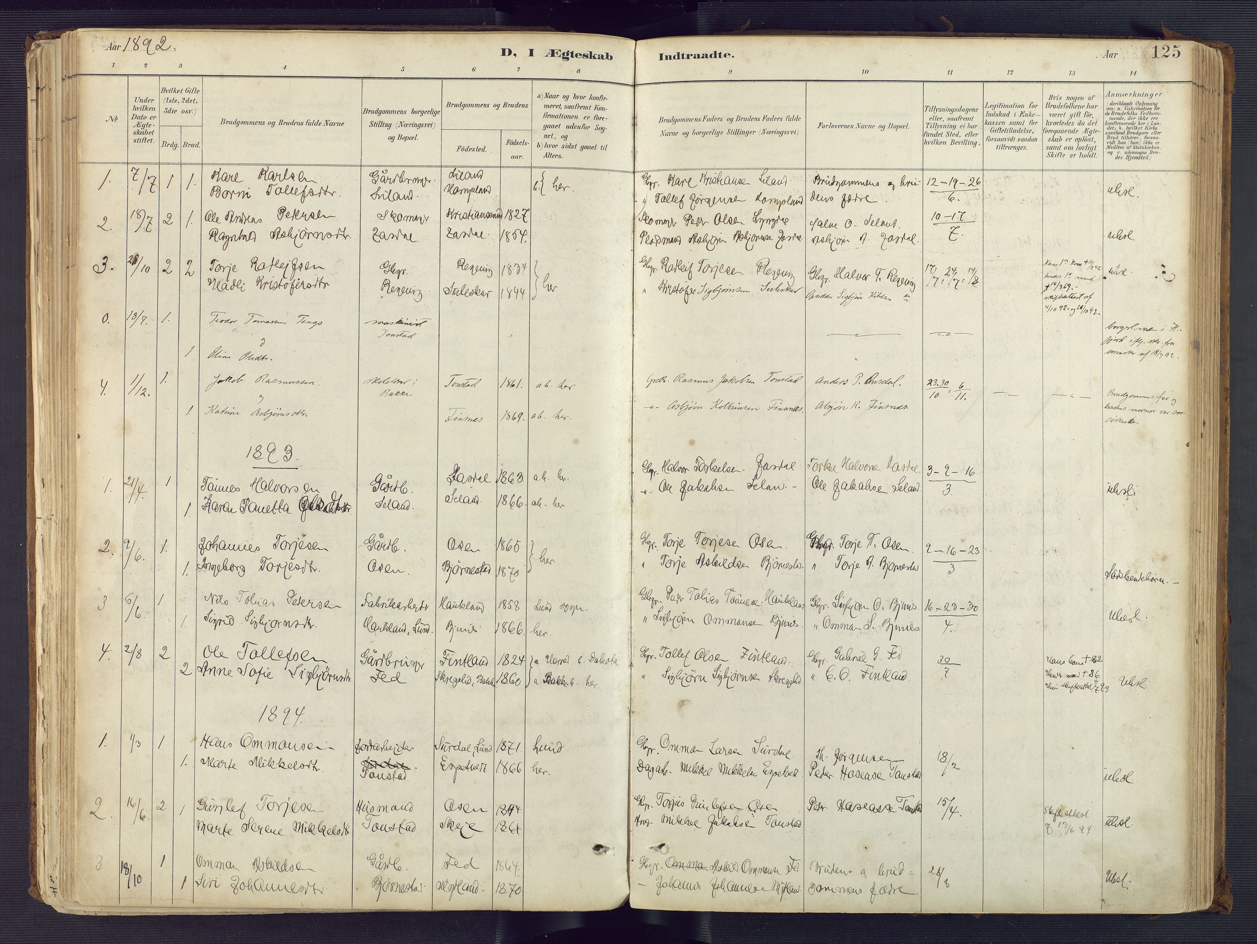 Sirdal sokneprestkontor, AV/SAK-1111-0036/F/Fa/Fab/L0004: Parish register (official) no. A 4, 1887-1919, p. 125