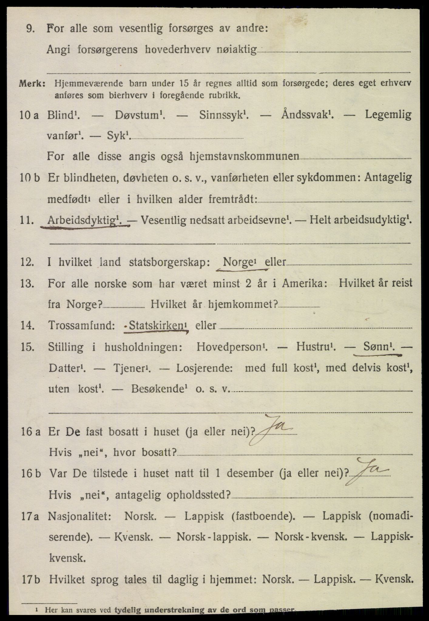 SAT, 1920 census for Vik, 1920, p. 2364