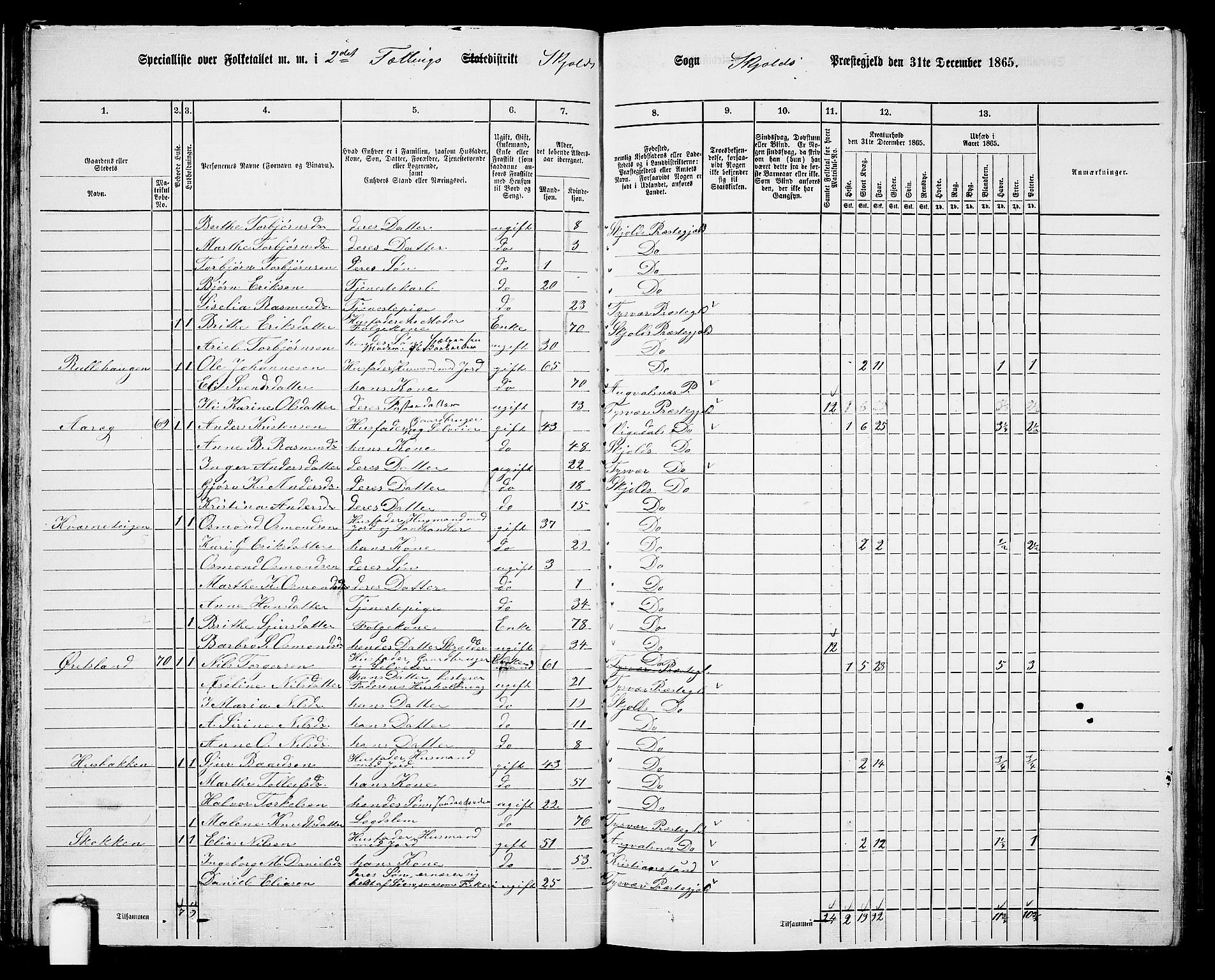 RA, 1865 census for Skjold, 1865, p. 35