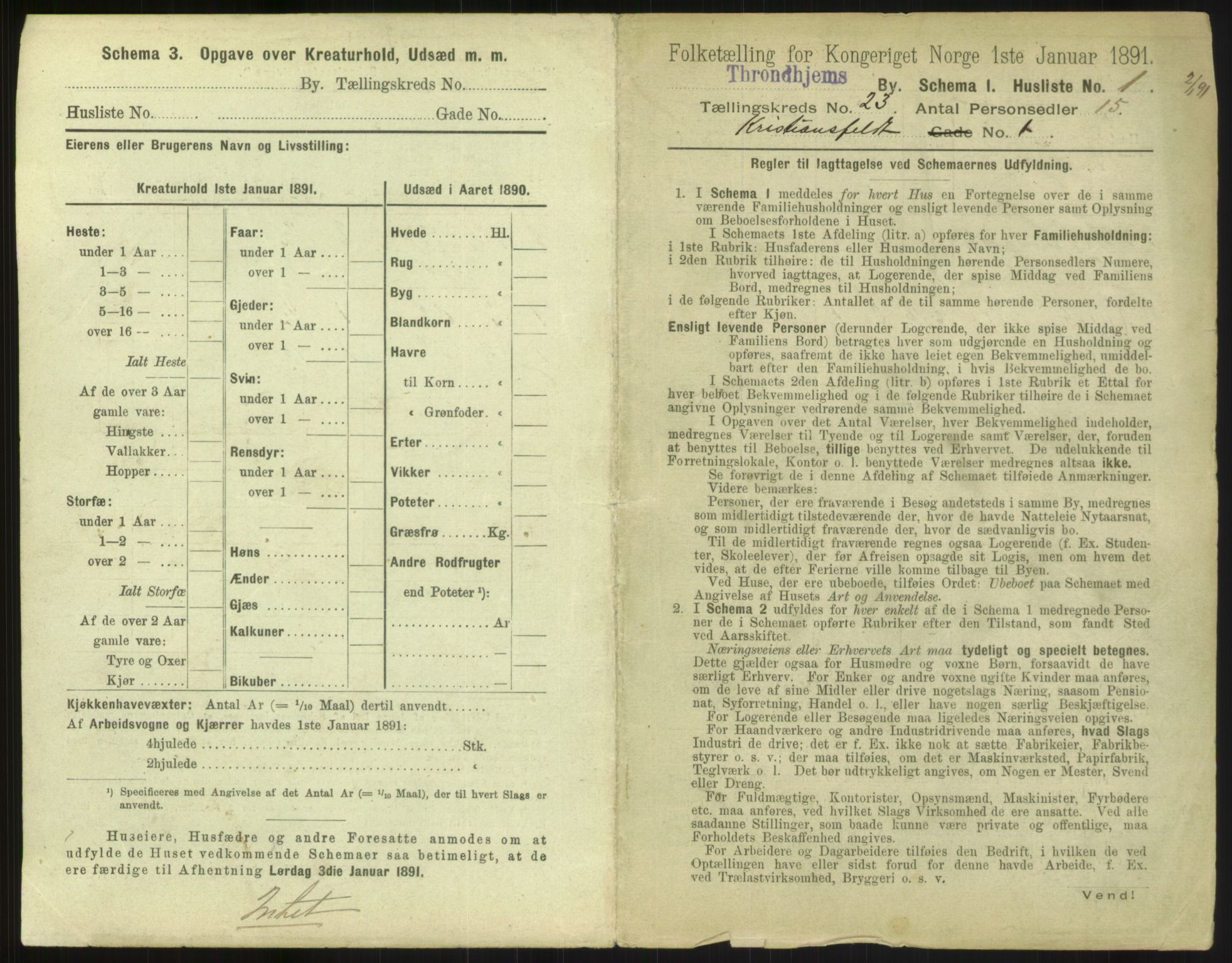 RA, 1891 census for 1601 Trondheim, 1891, p. 1388