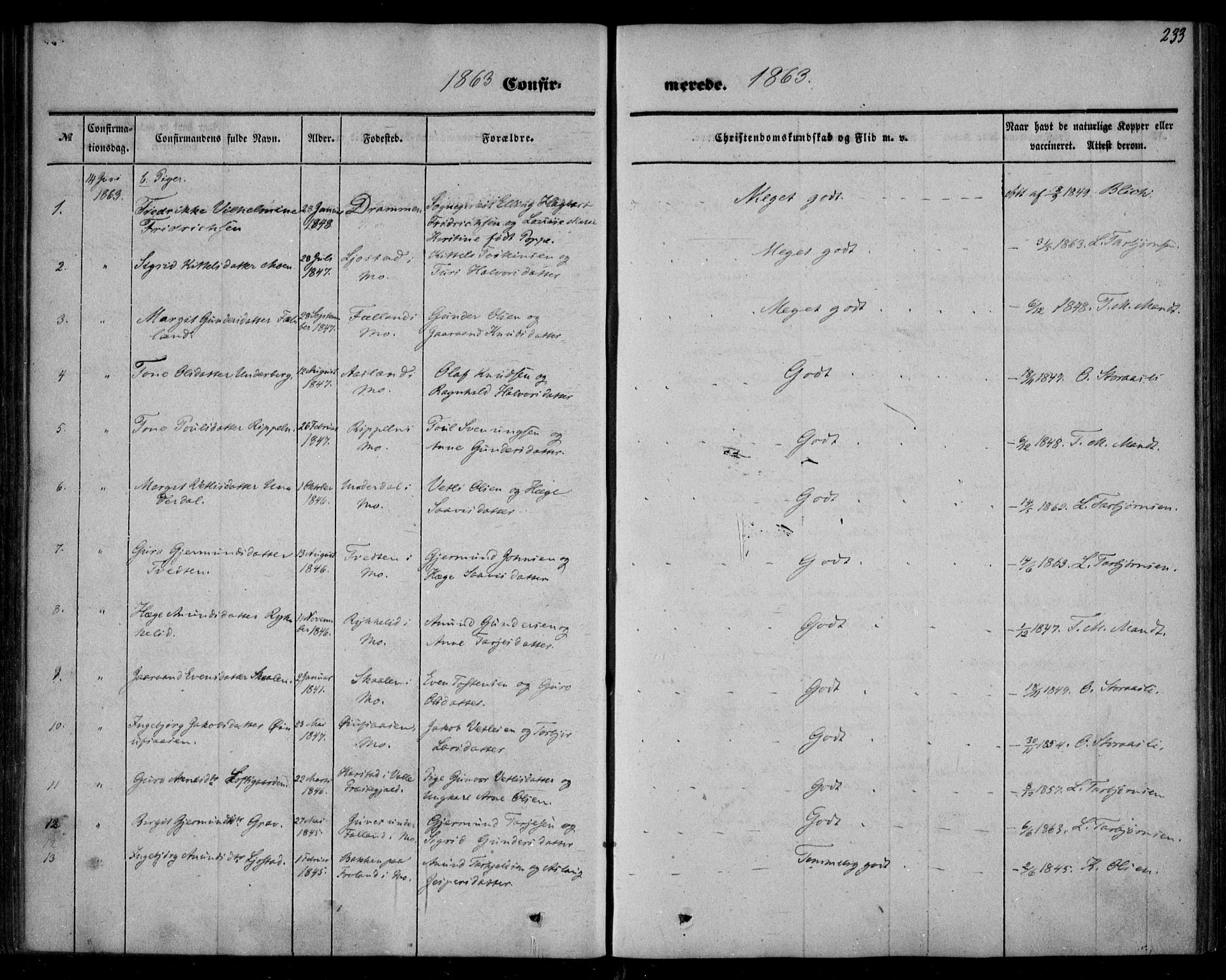 Mo kirkebøker, SAKO/A-286/F/Fa/L0005: Parish register (official) no. I 5, 1844-1864, p. 233