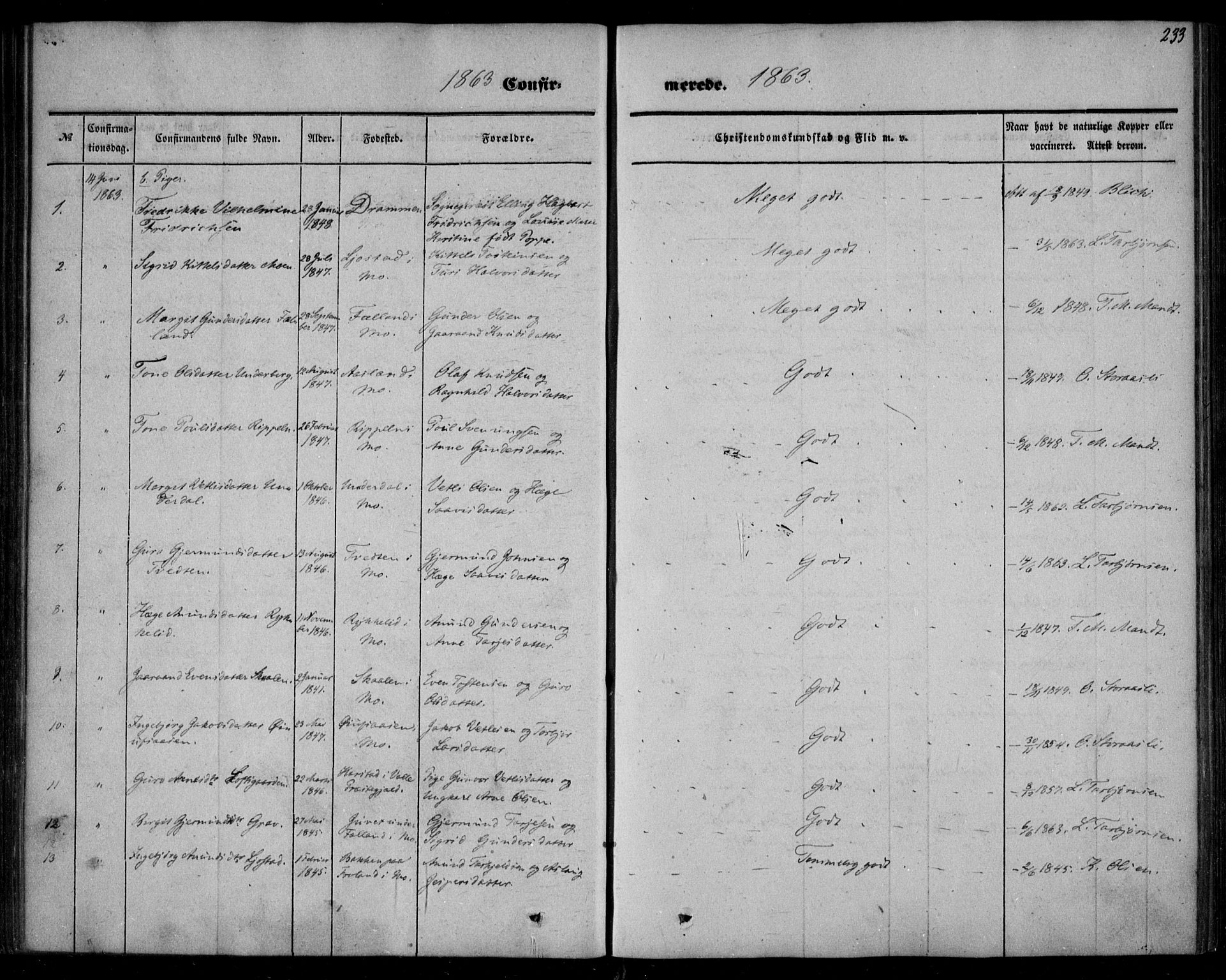 Mo kirkebøker, AV/SAKO-A-286/F/Fa/L0005: Parish register (official) no. I 5, 1844-1864, p. 233