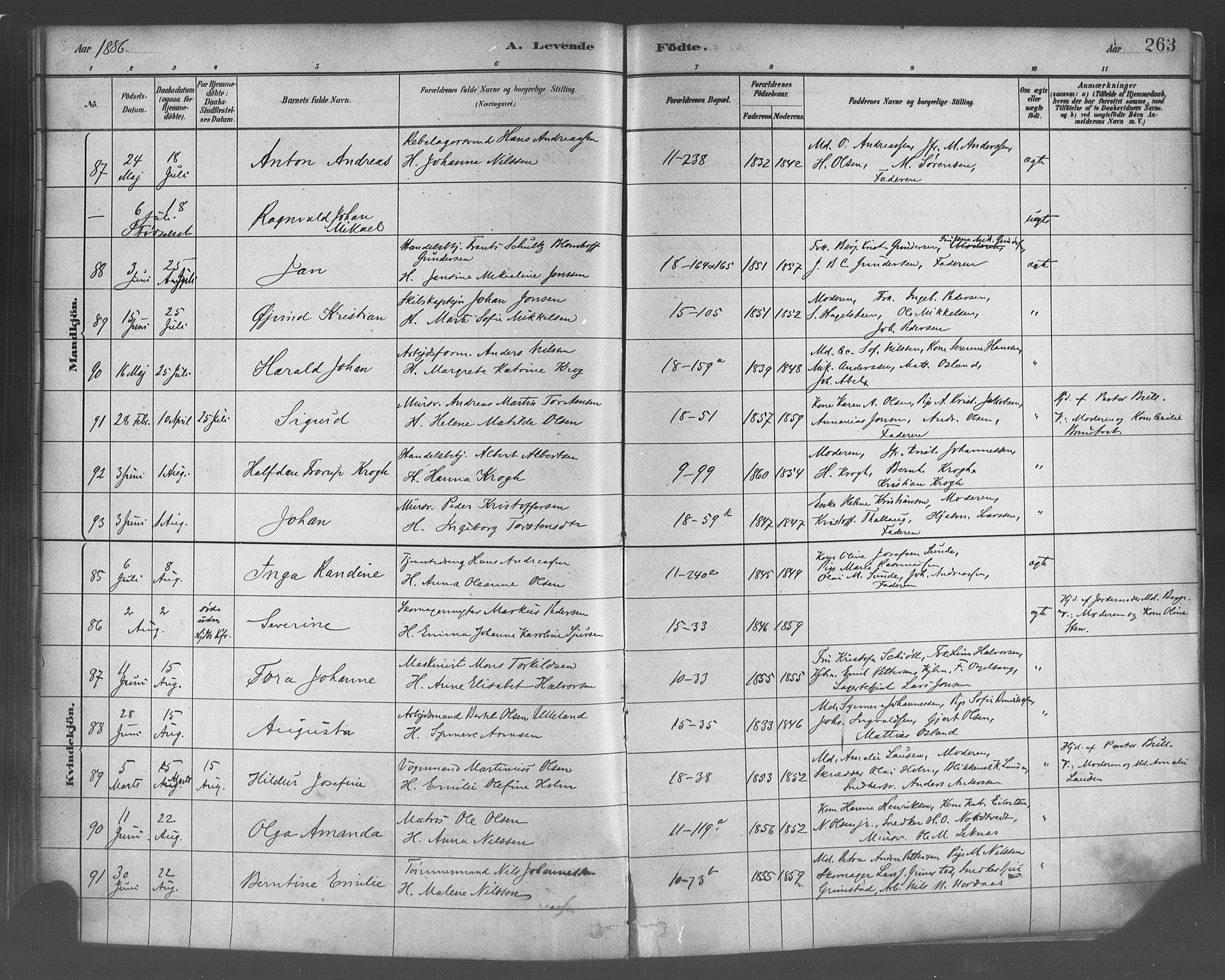 Domkirken sokneprestembete, SAB/A-74801/H/Haa/L0023: Parish register (official) no. B 6, 1879-1887, p. 263