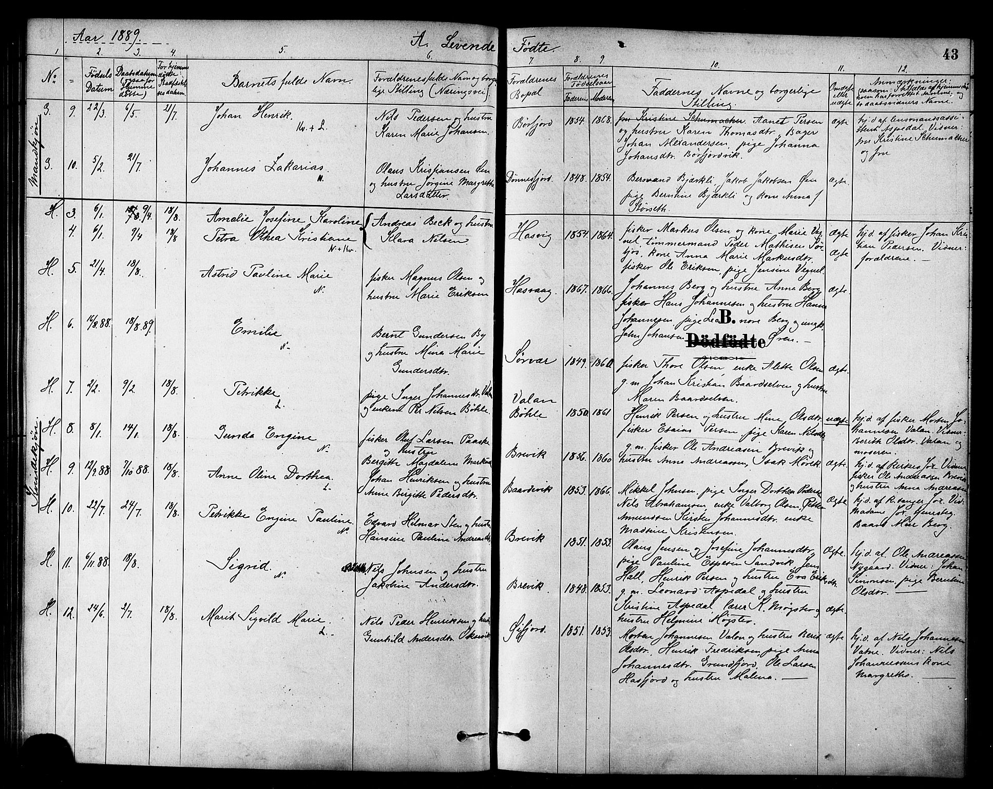 Loppa sokneprestkontor, SATØ/S-1339/H/Ha/L0007kirke: Parish register (official) no. 7, 1879-1889, p. 43