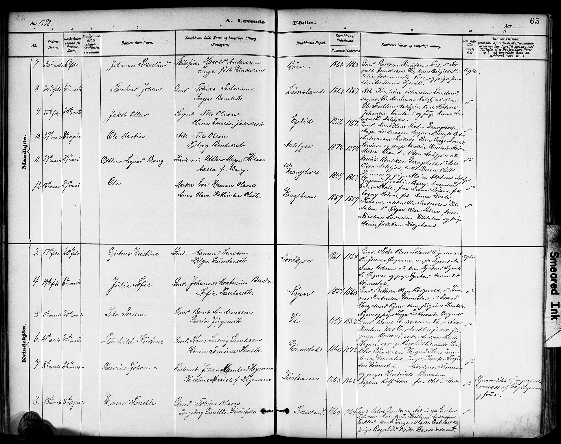 Tveit sokneprestkontor, AV/SAK-1111-0043/F/Fb/L0004: Parish register (copy) no. B 4, 1887-1914, p. 65