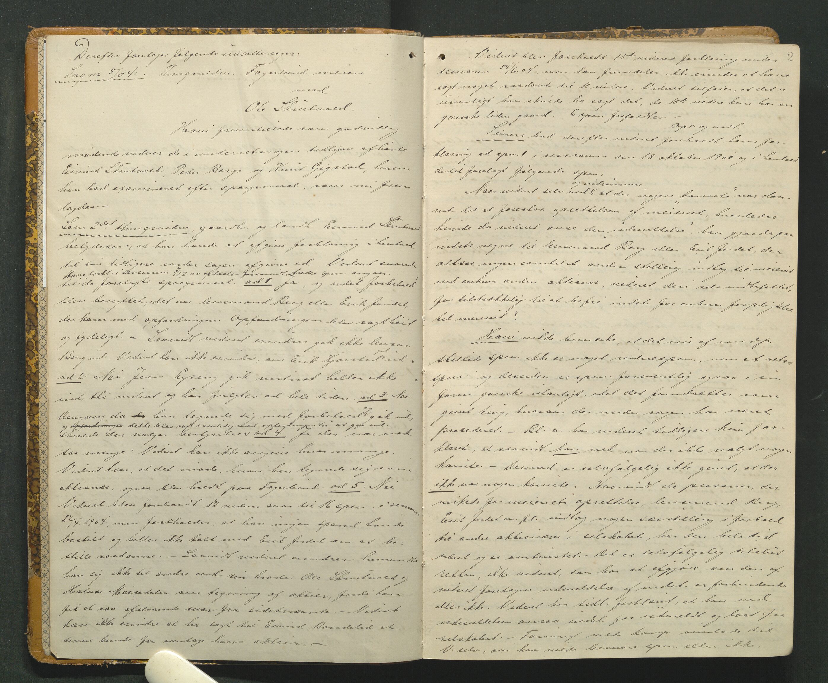 Valdres sorenskriveri, AV/SAH-TING-016/G/Gb/L0027: Tingbok, 1904-1906, p. 1b-2a