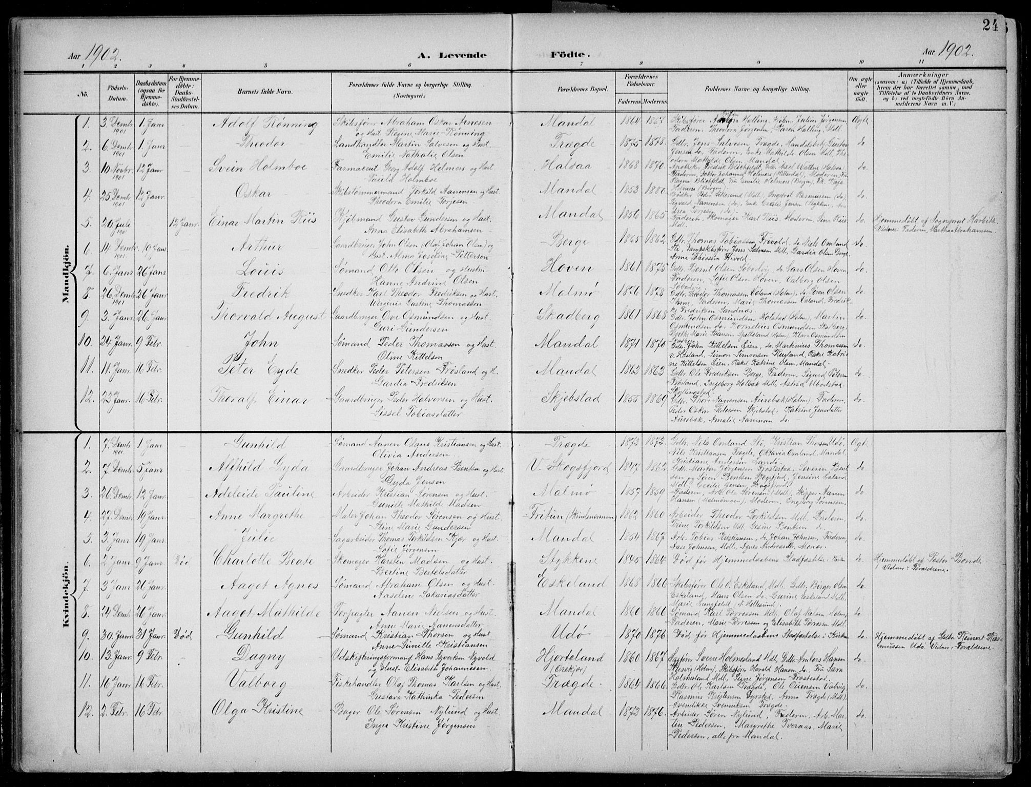 Mandal sokneprestkontor, AV/SAK-1111-0030/F/Fb/Fba/L0012: Parish register (copy) no. B 6, 1899-1918, p. 24