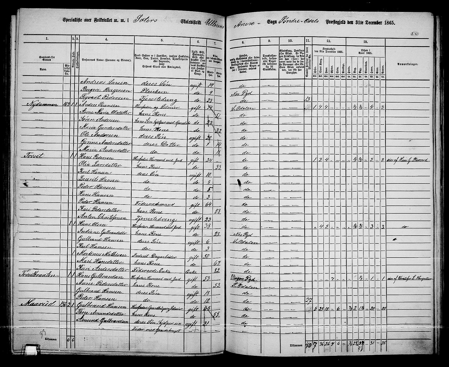 RA, 1865 census for Sør-Odal, 1865, p. 241