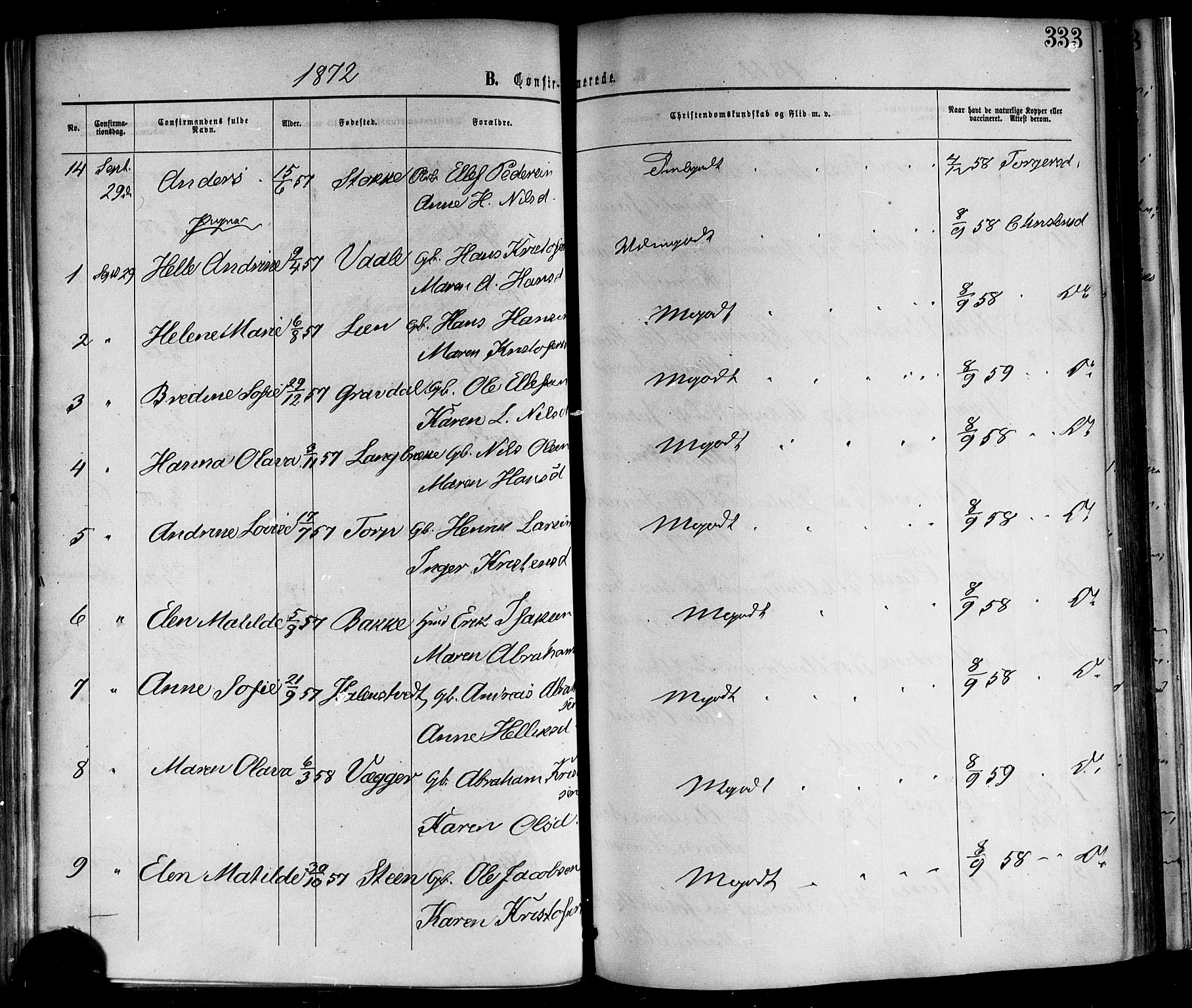 Andebu kirkebøker, AV/SAKO-A-336/F/Fa/L0006: Parish register (official) no. 6, 1871-1878, p. 333