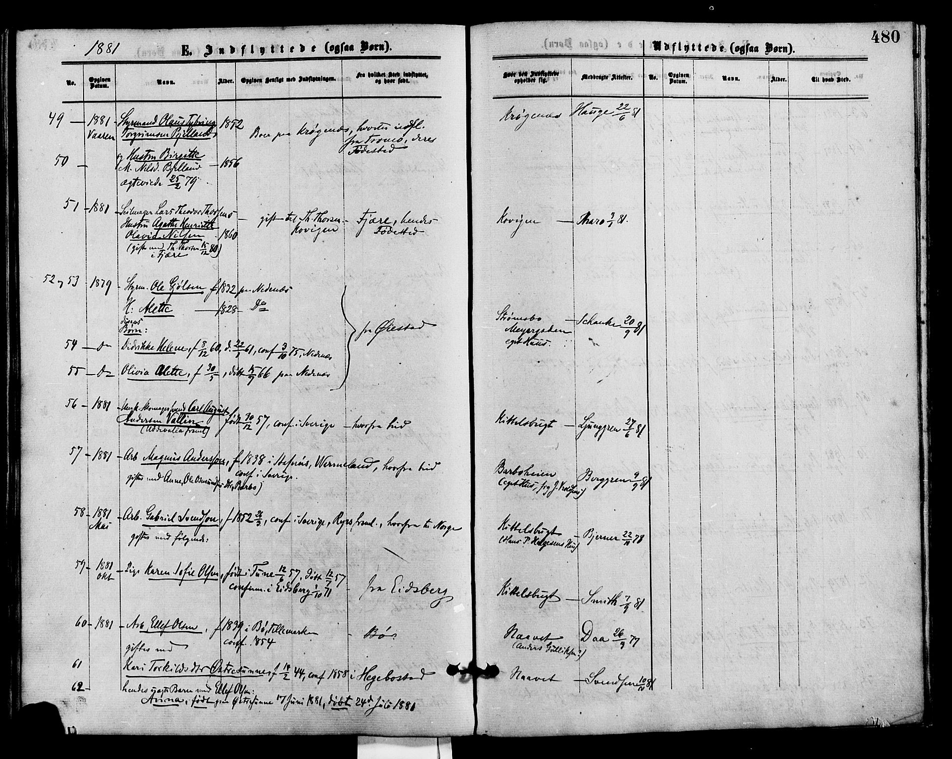 Barbu sokneprestkontor, AV/SAK-1111-0003/F/Fa/L0001: Parish register (official) no. A 1 /1, 1878-1883, p. 480