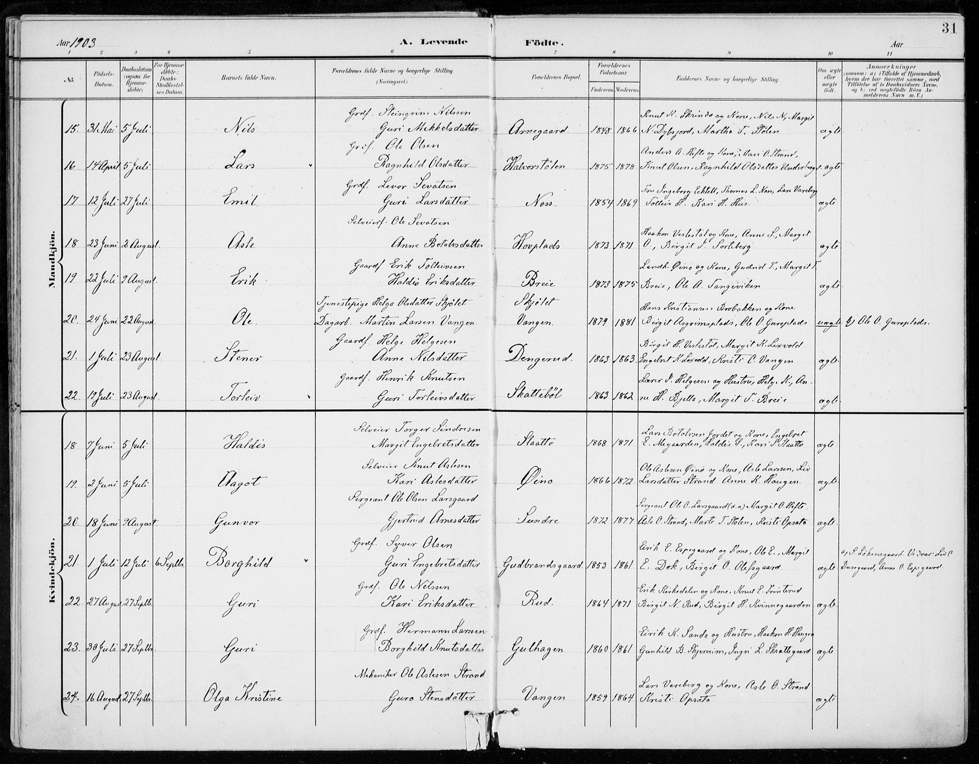 Ål kirkebøker, AV/SAKO-A-249/F/Fa/L0009: Parish register (official) no. I 9, 1897-1915, p. 31