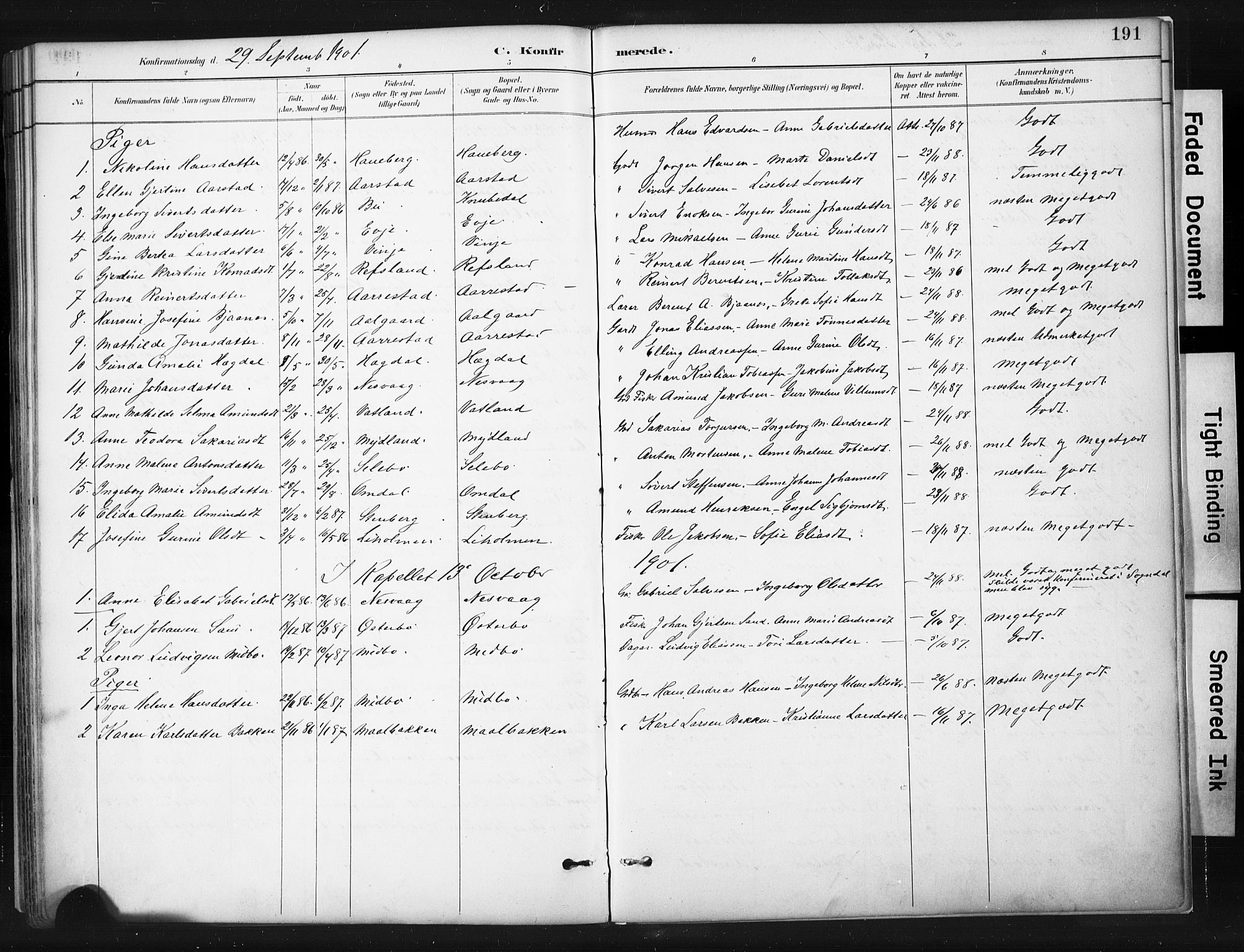 Sokndal sokneprestkontor, AV/SAST-A-101808: Parish register (official) no. A 11.1, 1887-1905, p. 191