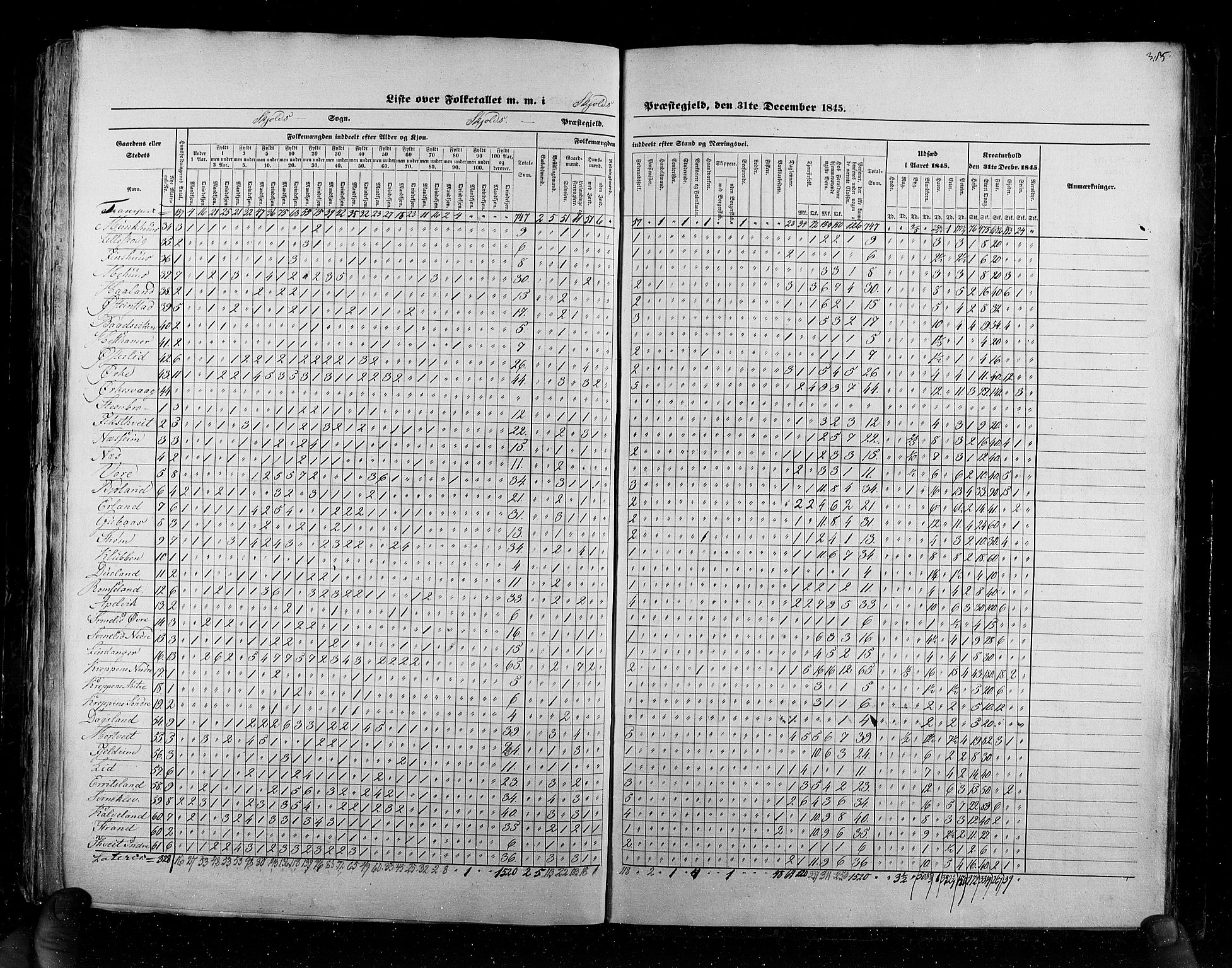 RA, Census 1845, vol. 6: Lister og Mandal amt og Stavanger amt, 1845, p. 385