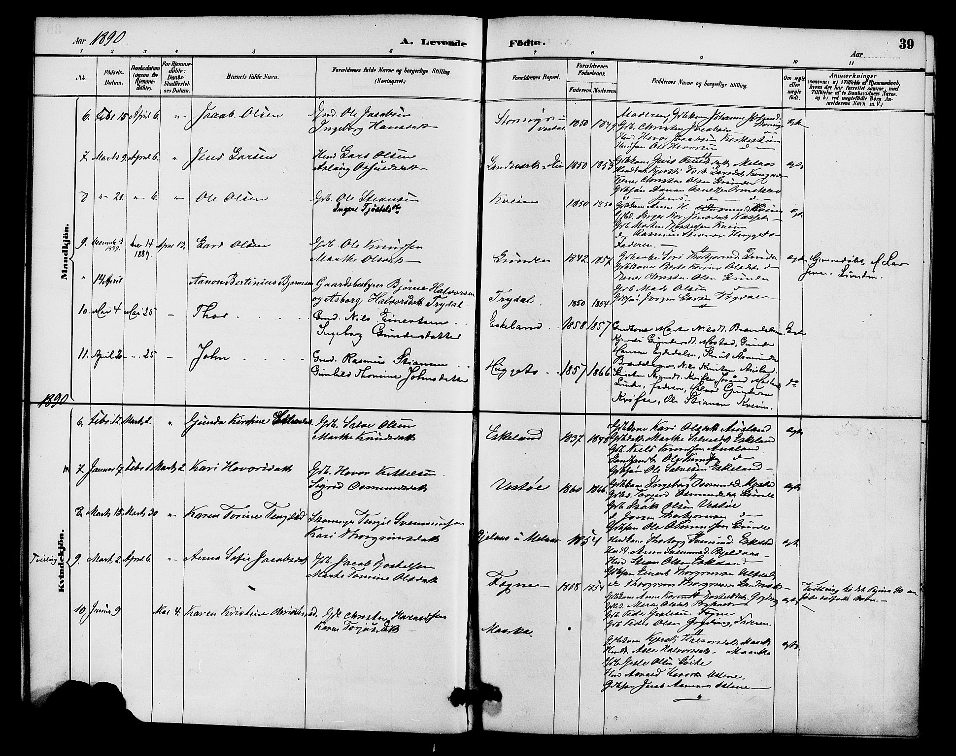 Gjerstad sokneprestkontor, AV/SAK-1111-0014/F/Fa/Faa/L0009: Parish register (official) no. A 9, 1885-1890, p. 39