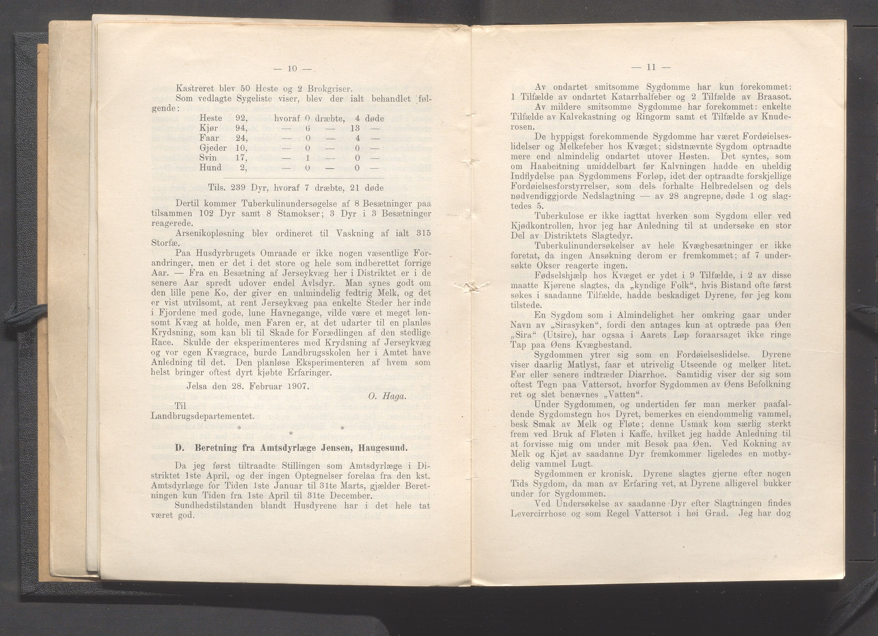 Rogaland fylkeskommune - Fylkesrådmannen , IKAR/A-900/A, 1908, p. 11