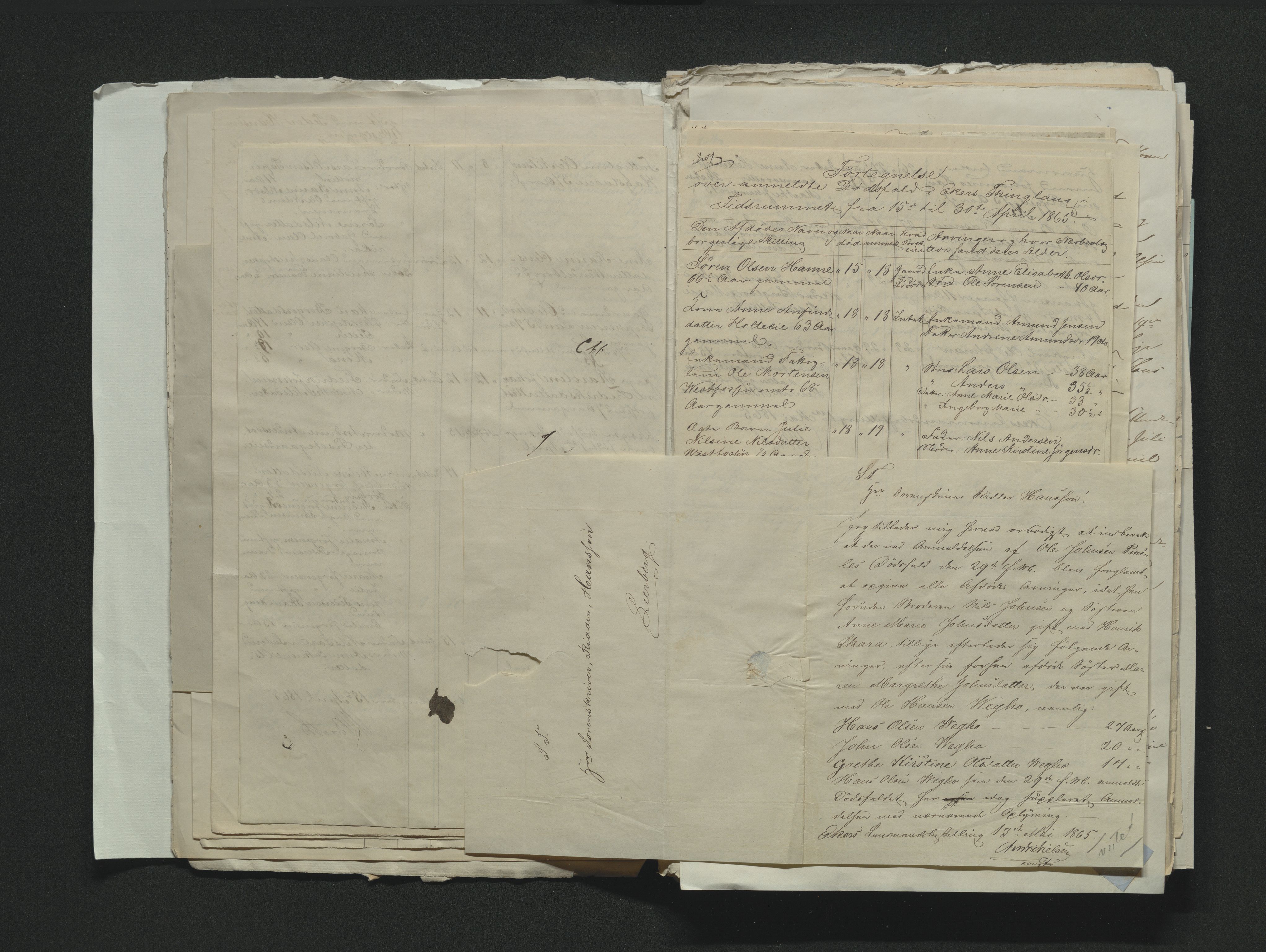 Eiker, Modum og Sigdal sorenskriveri, AV/SAKO-A-123/H/Ha/Hab/L0011: Dødsfallsmeldinger, 1862-1865, p. 536
