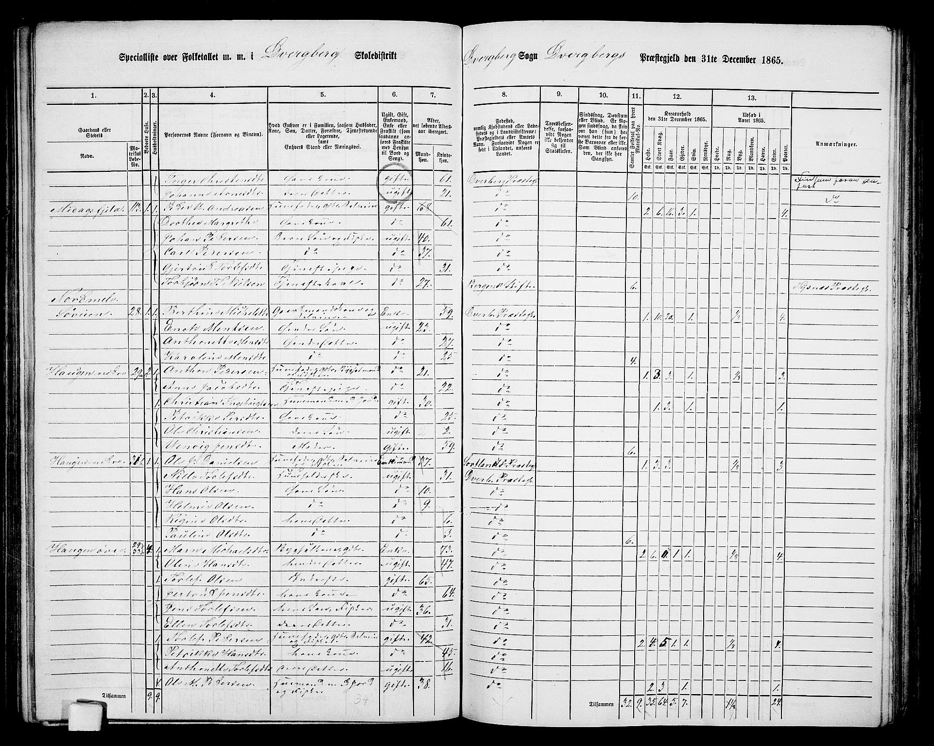 RA, 1865 census for Dverberg, 1865, p. 13
