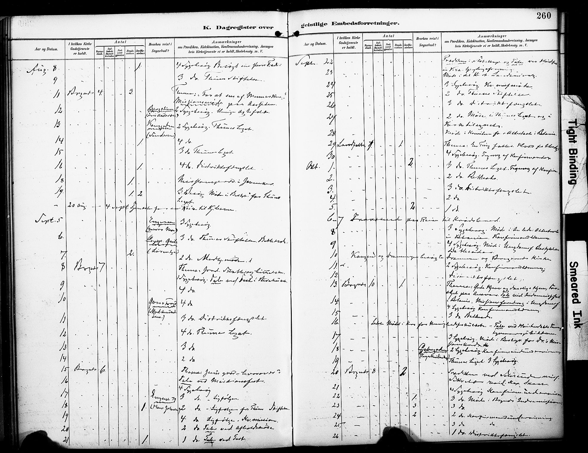 Bragernes kirkebøker, AV/SAKO-A-6/F/Fc/L0006: Parish register (official) no. III 6, 1888-1899, p. 260