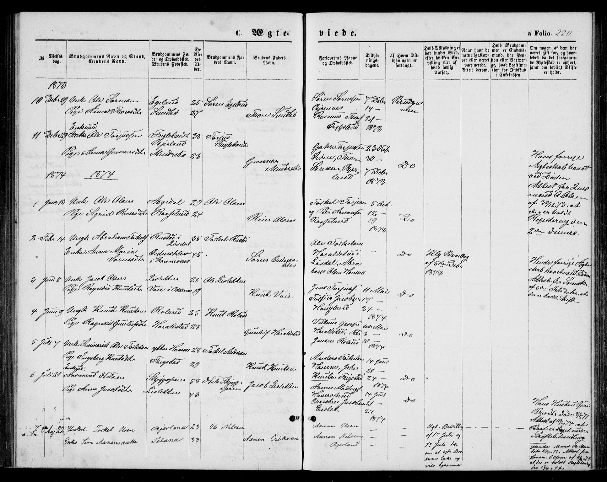 Bjelland sokneprestkontor, SAK/1111-0005/F/Fb/Fba/L0004: Parish register (copy) no. B 4, 1869-1886, p. 220