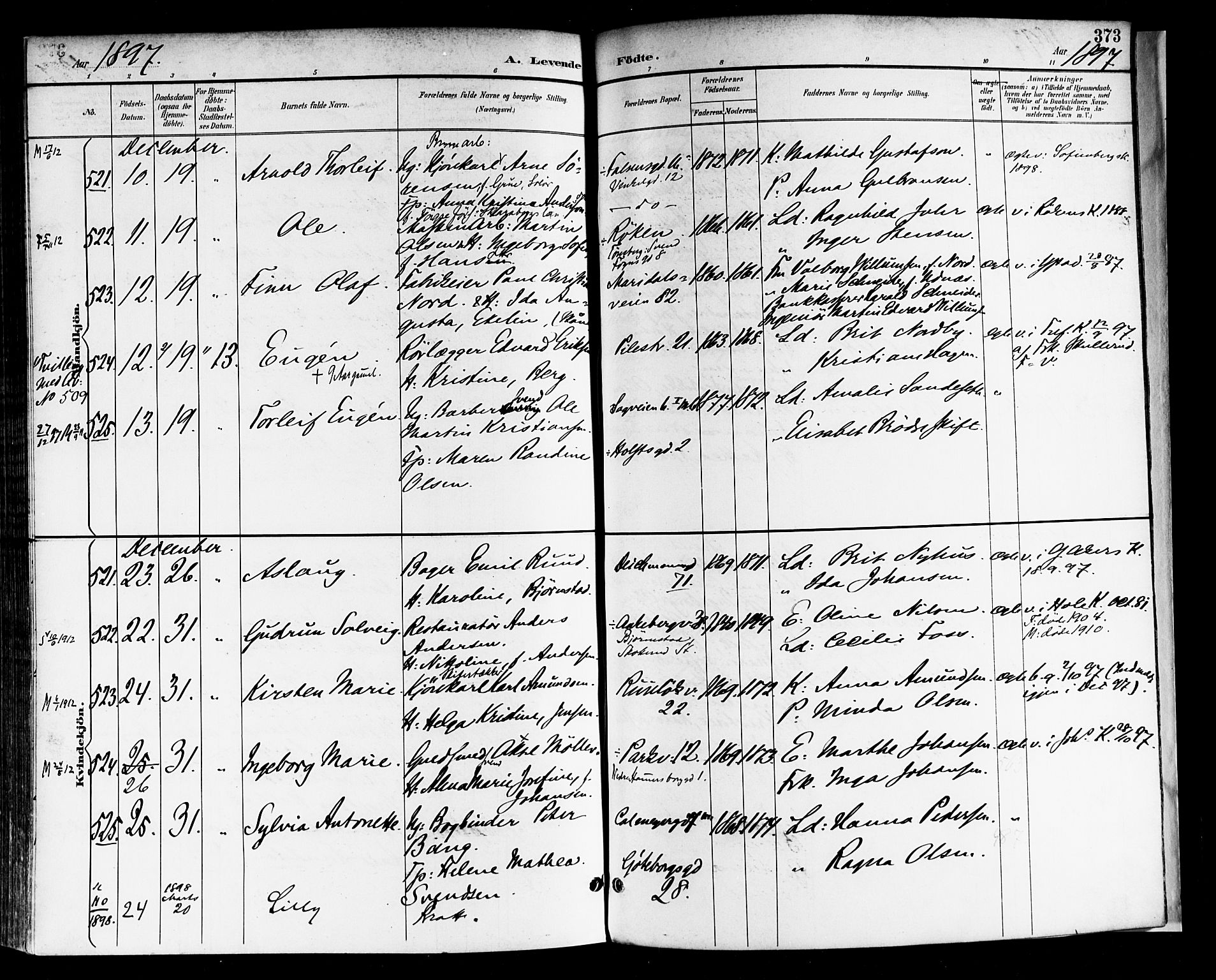 Rikshospitalet prestekontor Kirkebøker, AV/SAO-A-10309b/F/L0009: Parish register (official) no. 9, 1894-1897, p. 373