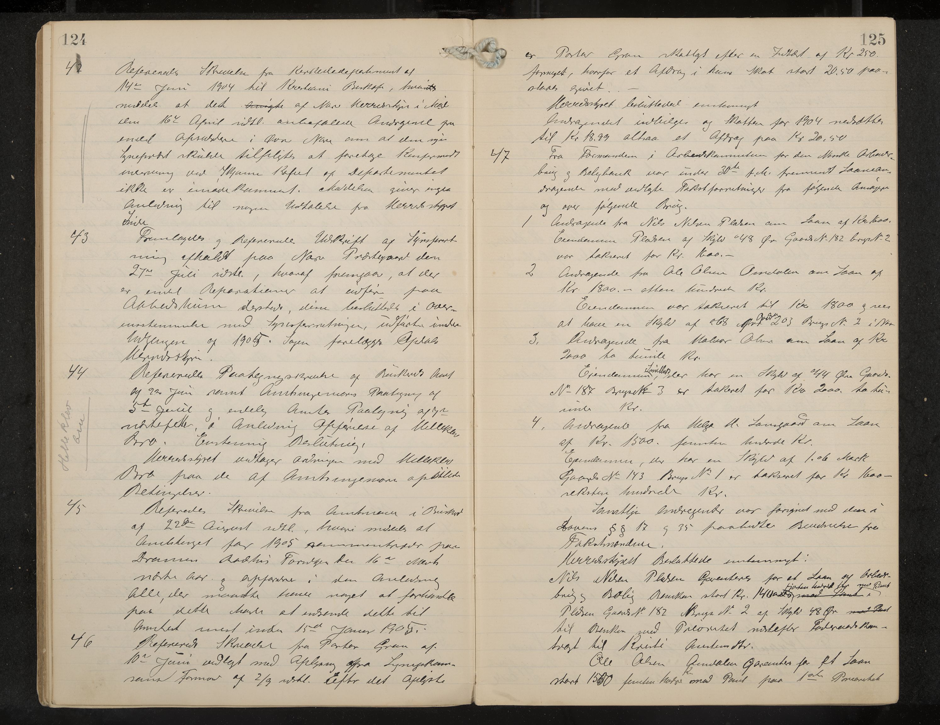 Nore formannskap og sentraladministrasjon, IKAK/0633021-2/A/Aa/L0001: Møtebok, 1901-1911, p. 124-125