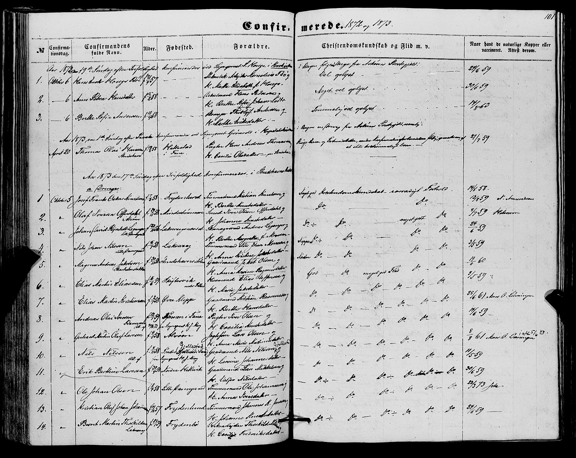Askøy Sokneprestembete, SAB/A-74101/H/Ha/Haa/Haaa/L0012: Parish register (official) no. A 12, 1855-1877, p. 101