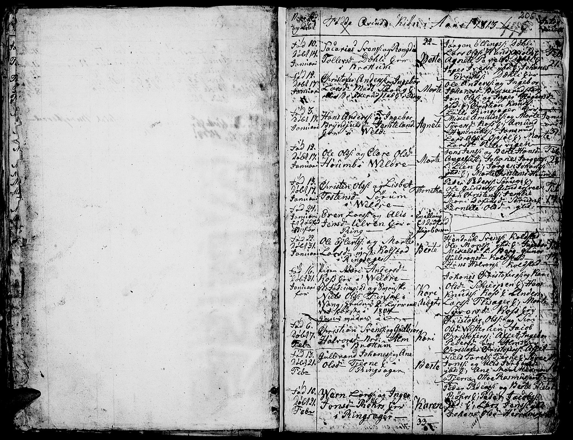 Ringsaker prestekontor, SAH/PREST-014/K/Ka/L0004: Parish register (official) no. 4, 1799-1814, p. 205