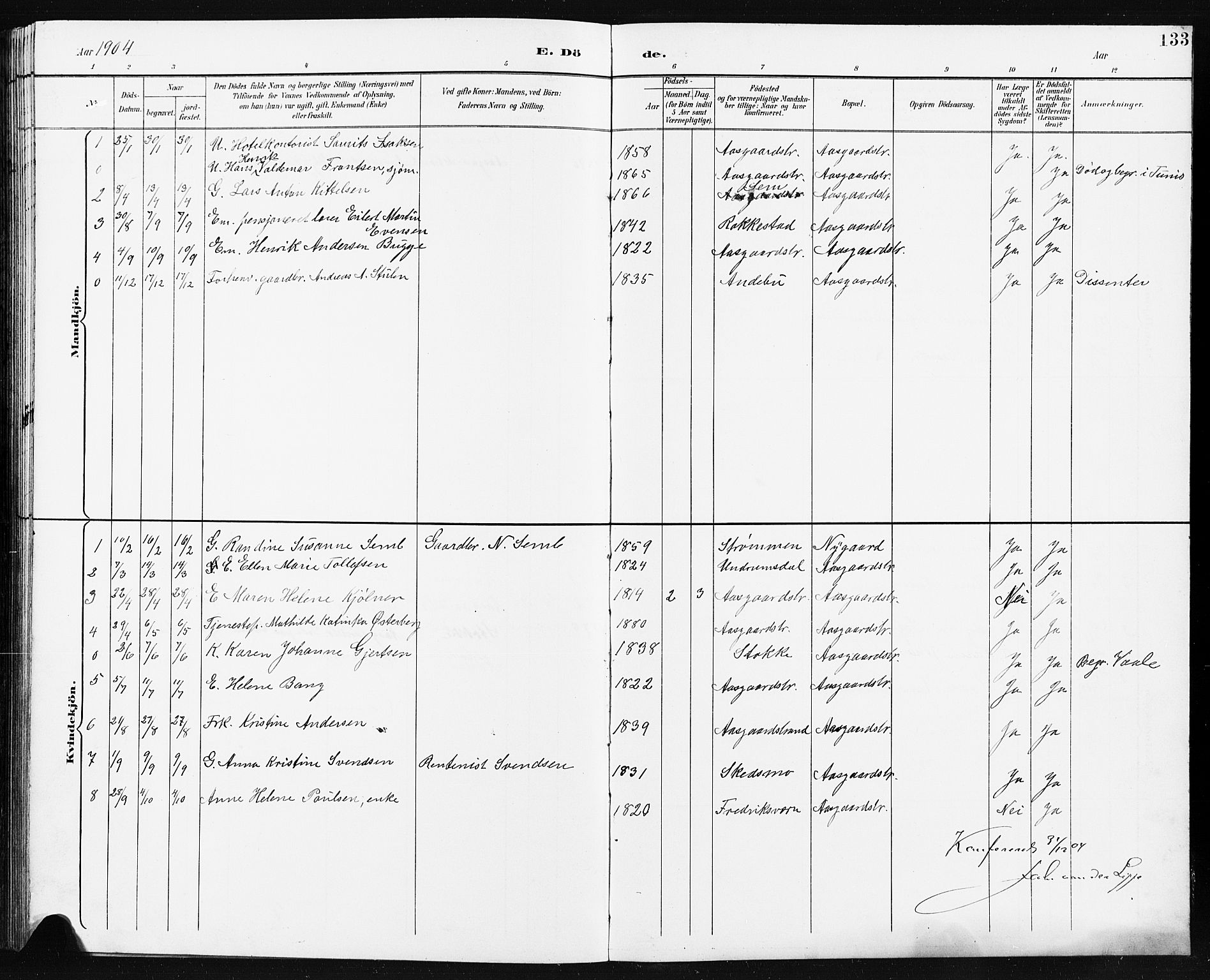 Borre kirkebøker, AV/SAKO-A-338/G/Ga/L0004: Parish register (copy) no. I 4, 1892-1913, p. 133