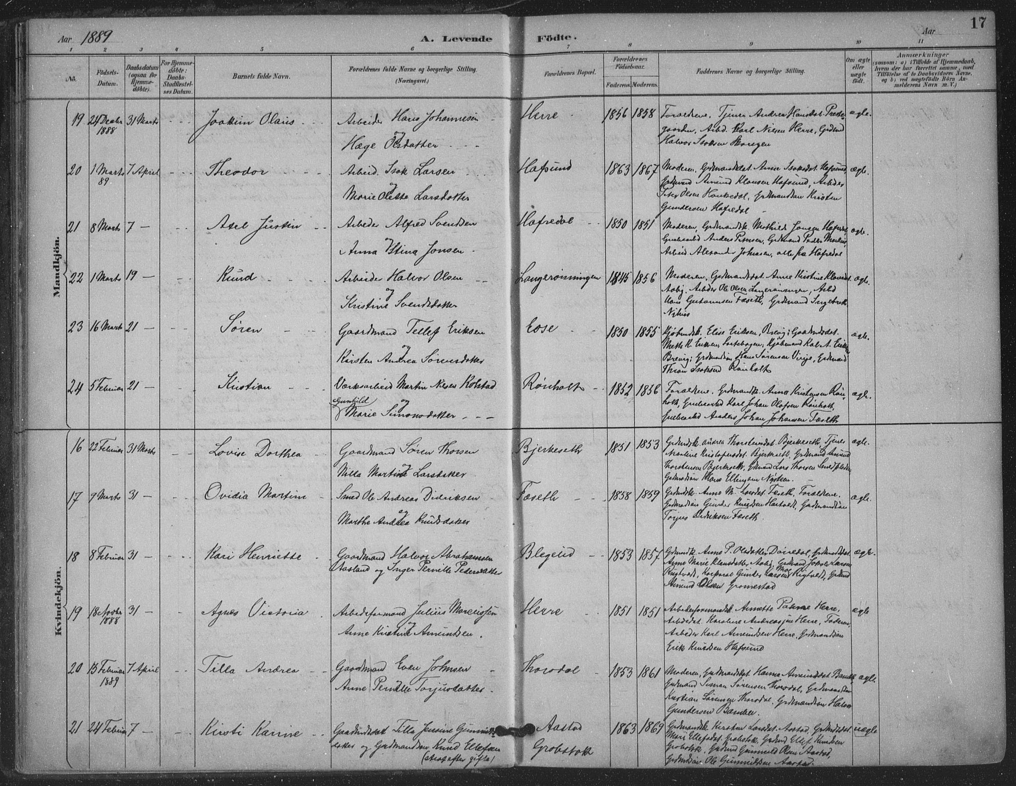 Bamble kirkebøker, AV/SAKO-A-253/F/Fa/L0008: Parish register (official) no. I 8, 1888-1900, p. 17