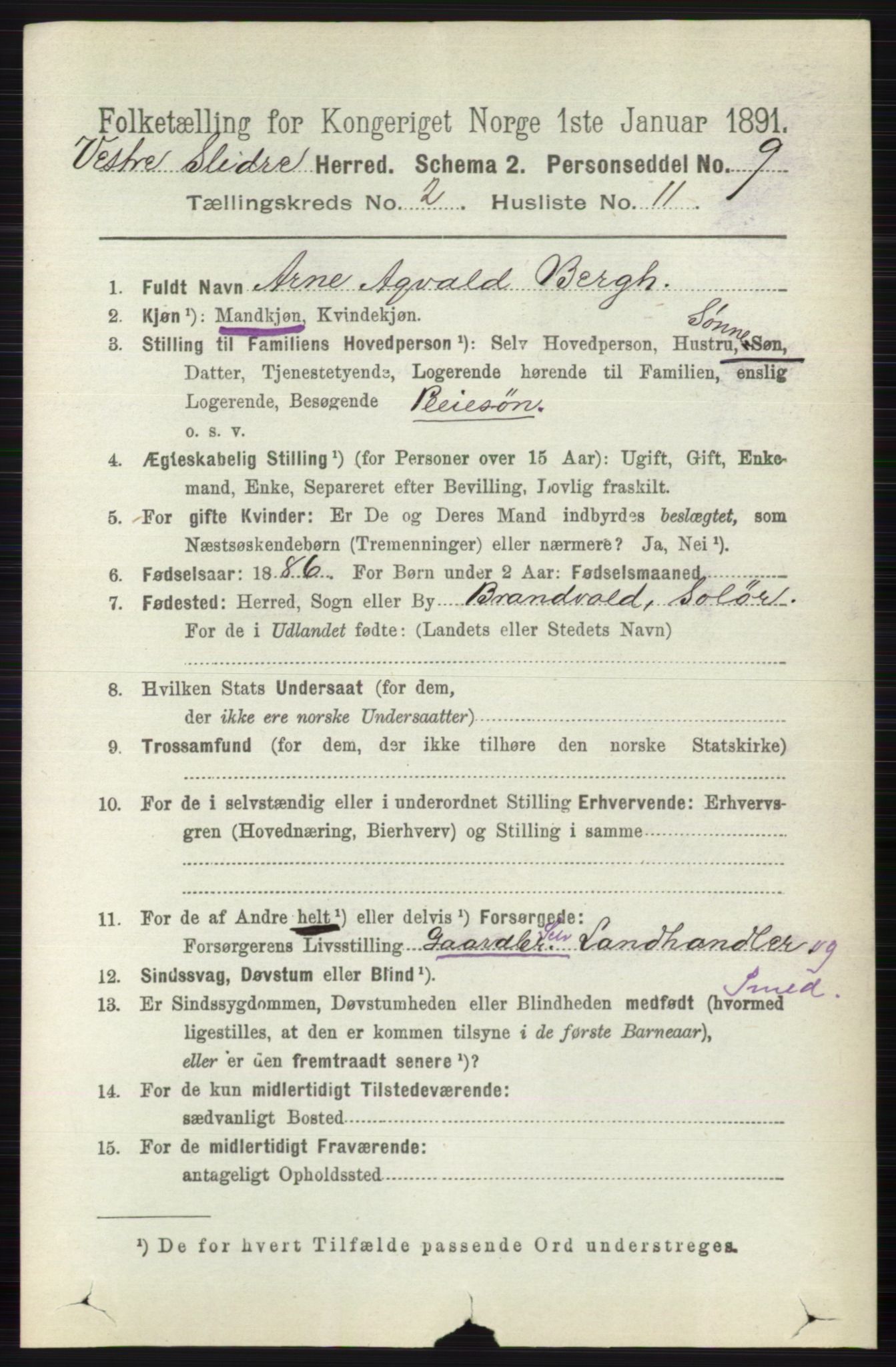 RA, 1891 census for 0543 Vestre Slidre, 1891, p. 593