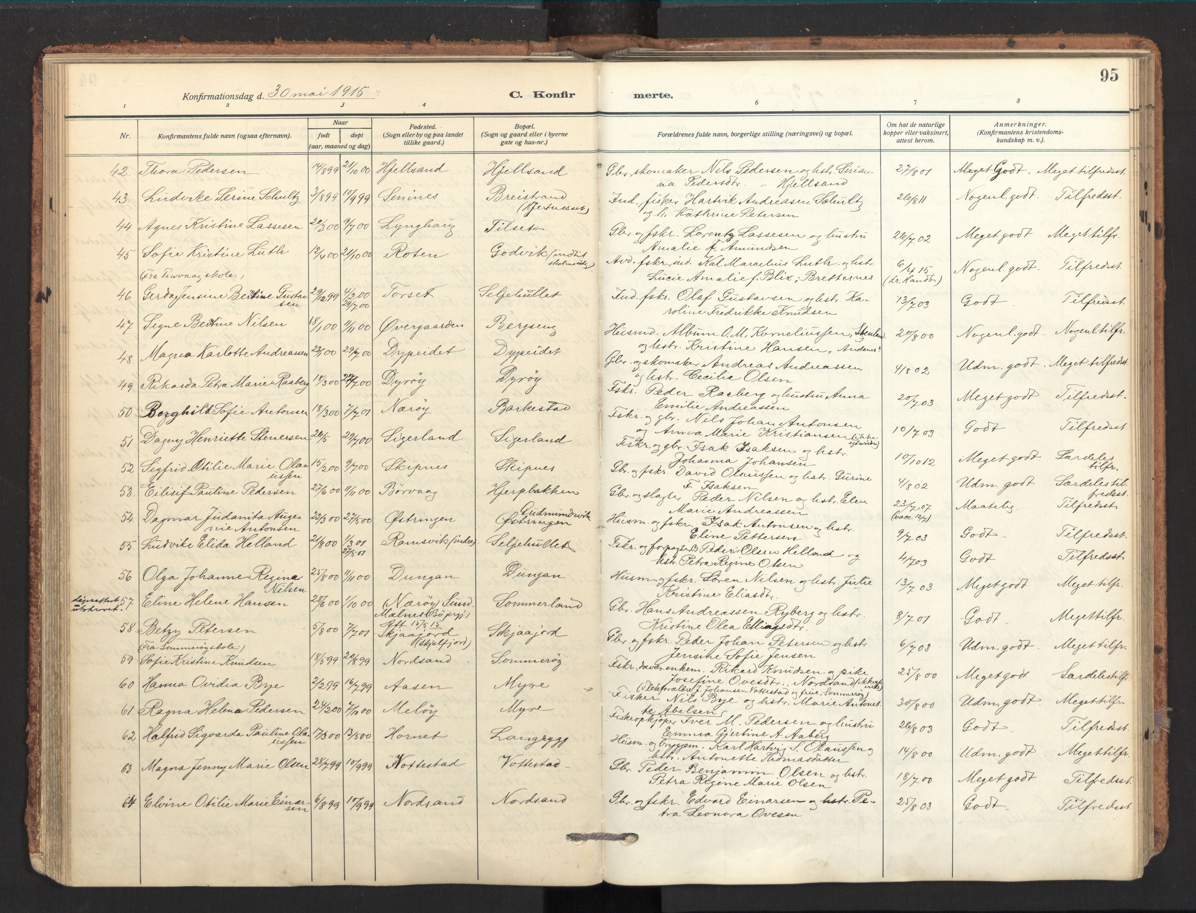 Ministerialprotokoller, klokkerbøker og fødselsregistre - Nordland, SAT/A-1459/893/L1343: Parish register (official) no. 893A15, 1914-1928, p. 95