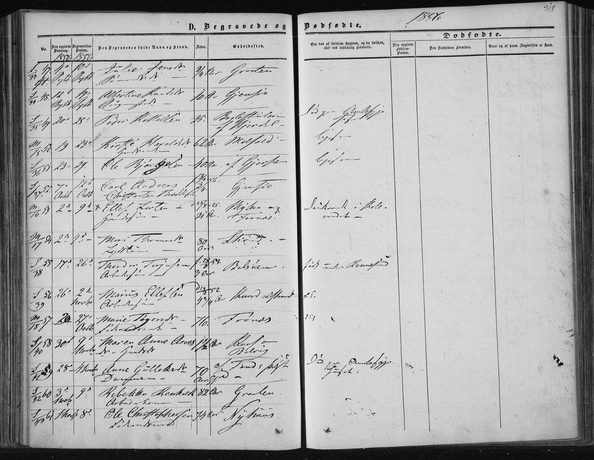 Solum kirkebøker, AV/SAKO-A-306/F/Fa/L0007: Parish register (official) no. I 7, 1856-1864, p. 315