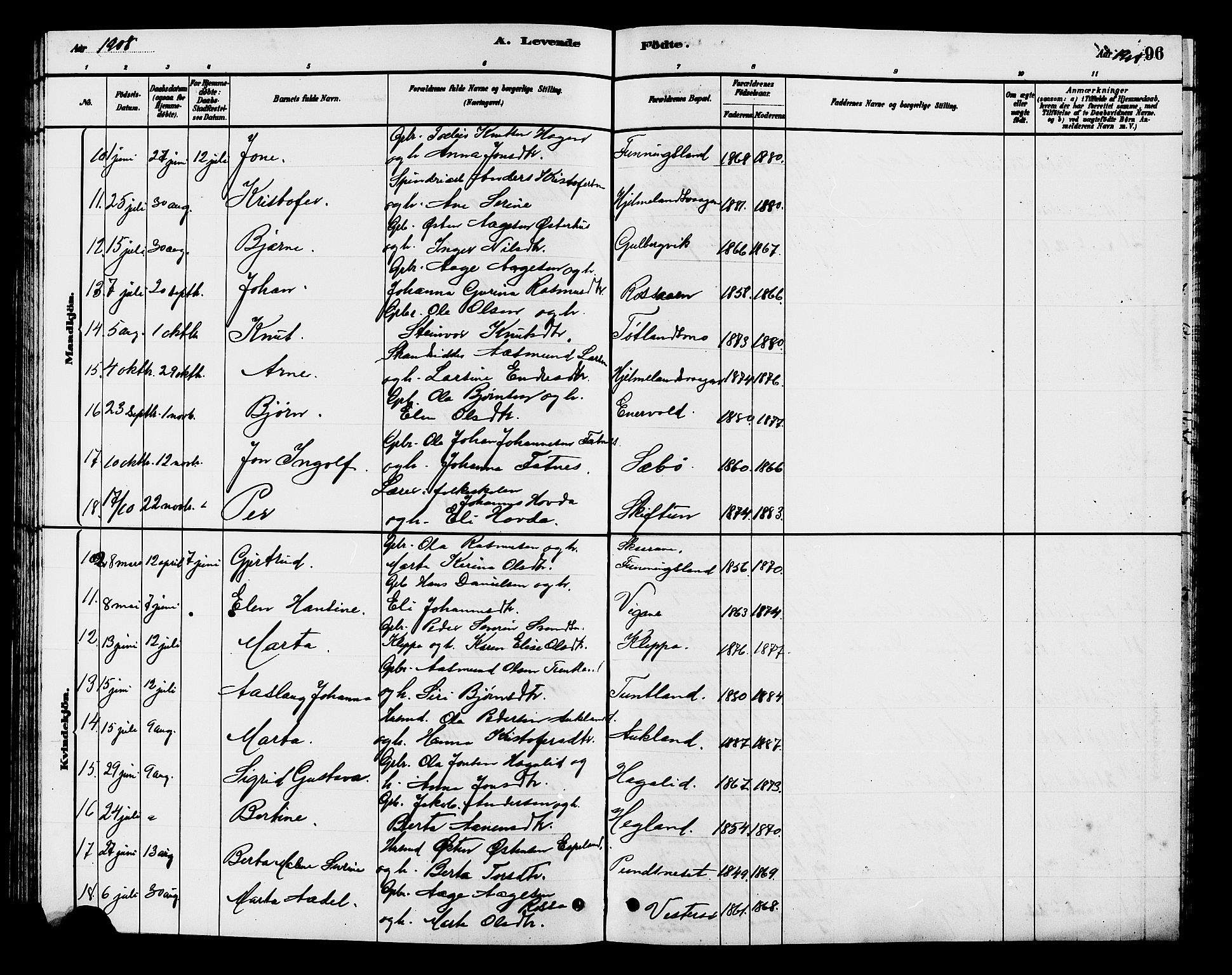 Hjelmeland sokneprestkontor, AV/SAST-A-101843/01/V/L0007: Parish register (copy) no. B 7, 1880-1909, p. 96