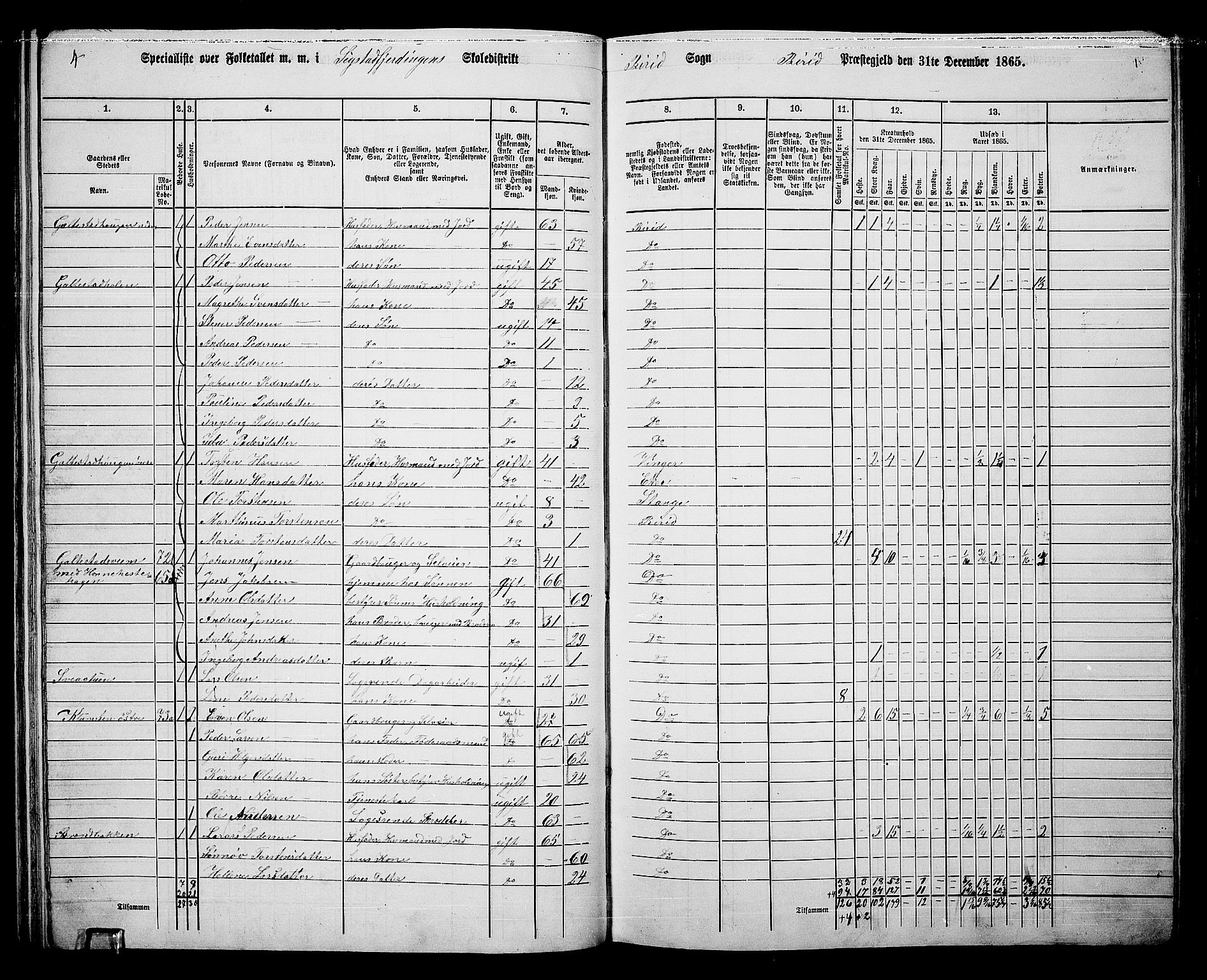 RA, 1865 census for Biri, 1865, p. 69