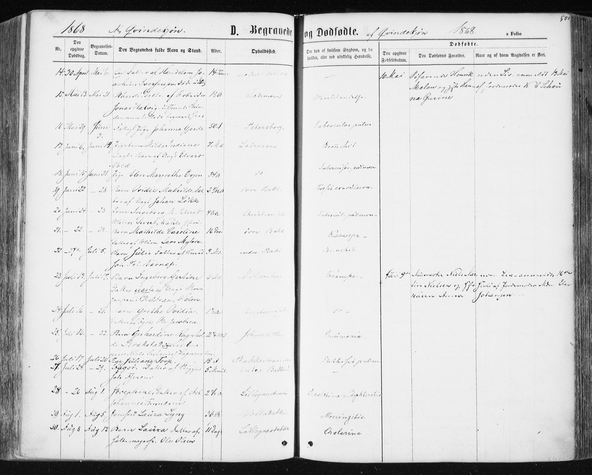 Ministerialprotokoller, klokkerbøker og fødselsregistre - Sør-Trøndelag, SAT/A-1456/604/L0186: Parish register (official) no. 604A07, 1866-1877, p. 501