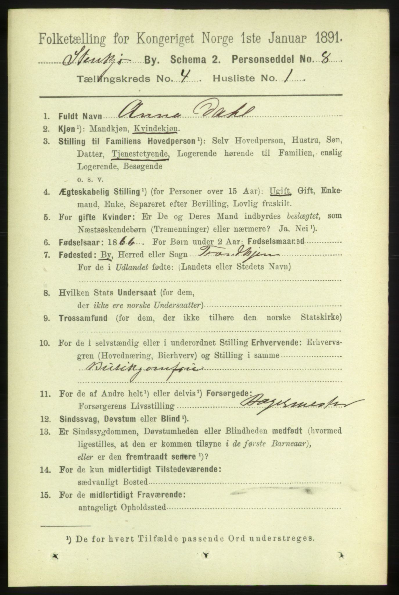 RA, 1891 census for 1702 Steinkjer, 1891, p. 1271