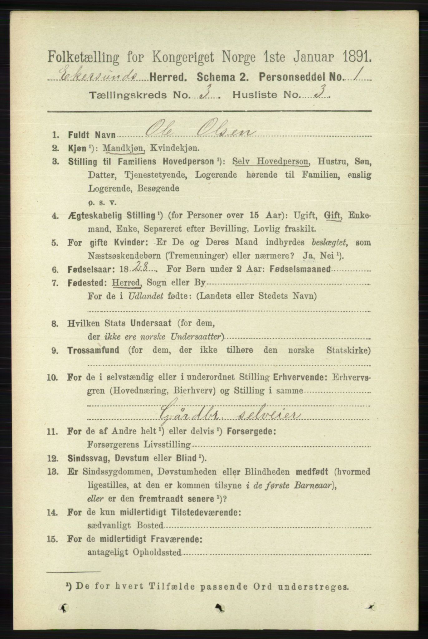 RA, 1891 census for 1116 Eigersund herred, 1891, p. 1061