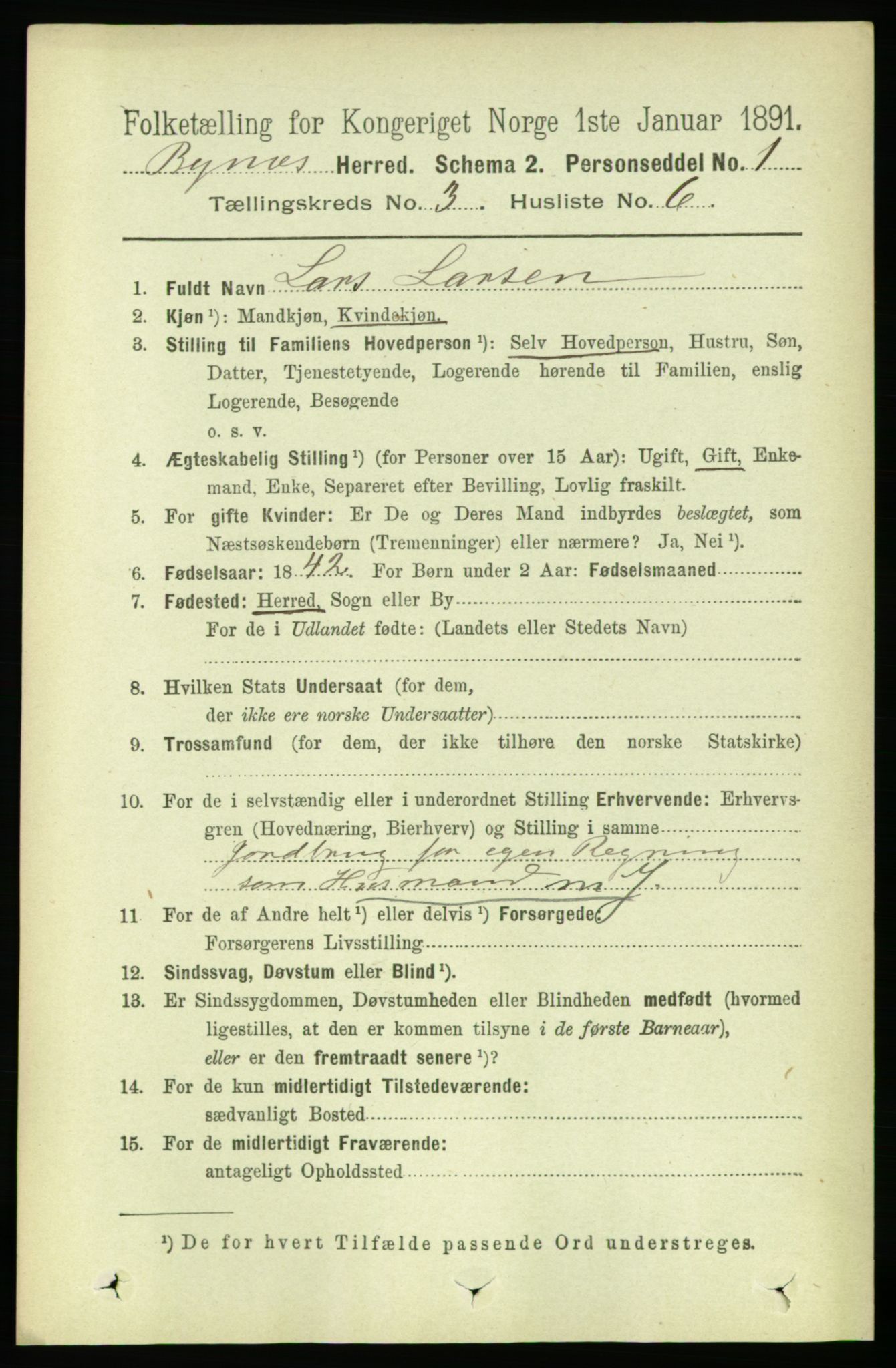 RA, 1891 census for 1655 Byneset, 1891, p. 1316