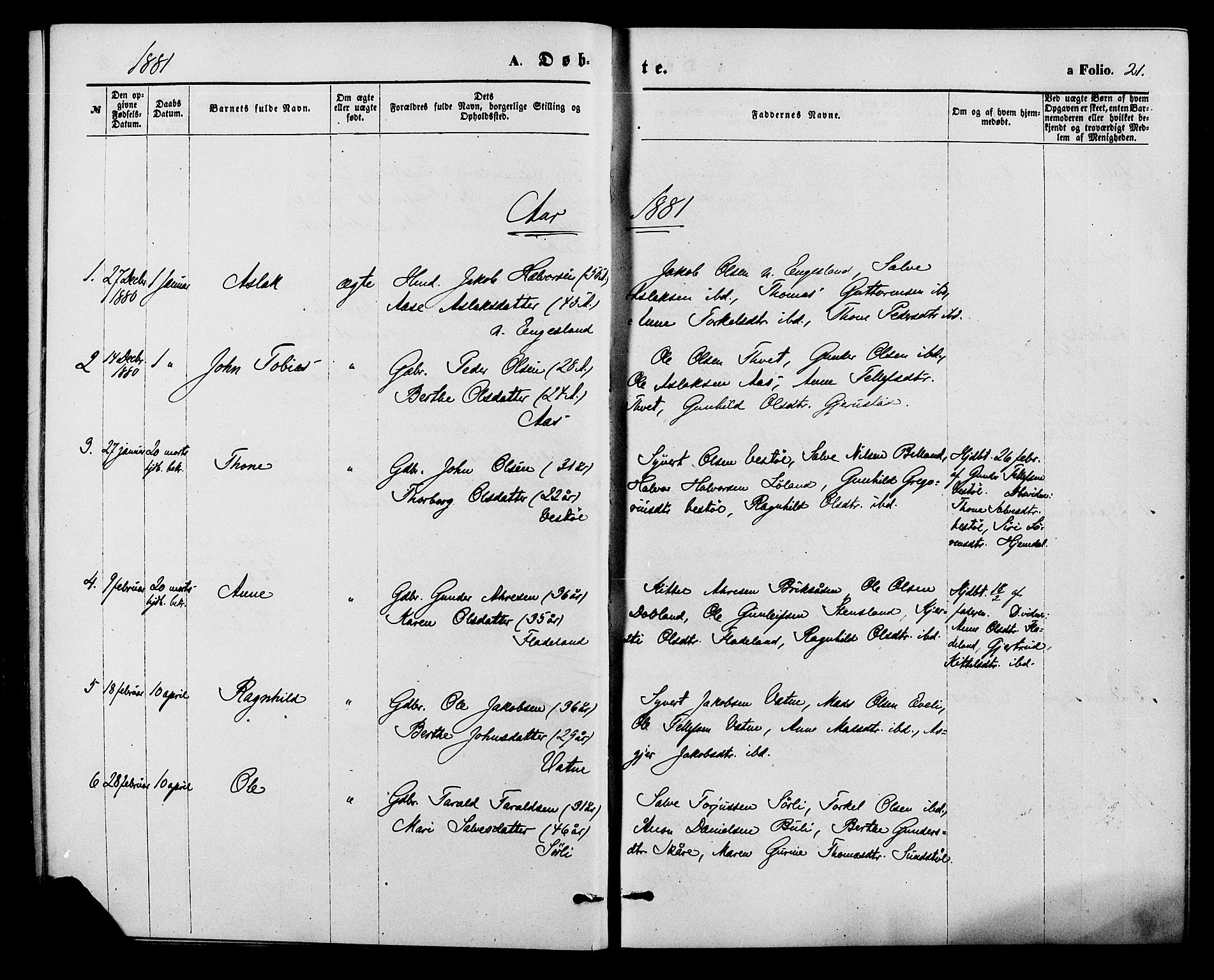 Herefoss sokneprestkontor, SAK/1111-0019/F/Fa/Fab/L0003: Parish register (official) no. A 3, 1875-1886, p. 21