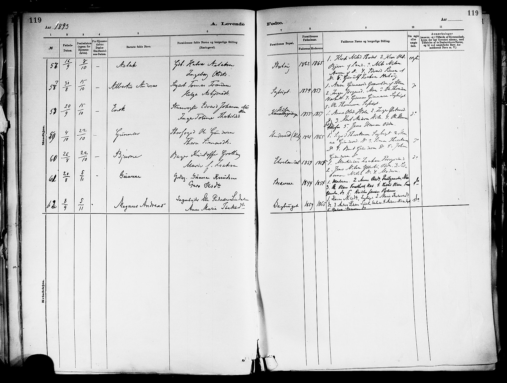 Holla kirkebøker, AV/SAKO-A-272/F/Fa/L0008: Parish register (official) no. 8, 1882-1897, p. 119