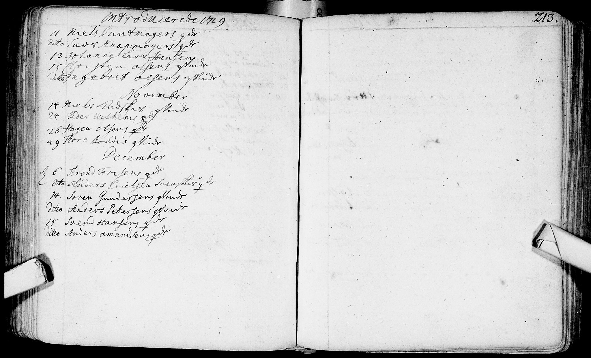 Bragernes kirkebøker, AV/SAKO-A-6/F/Fa/L0003: Parish register (official) no. I 3, 1706-1734, p. 213