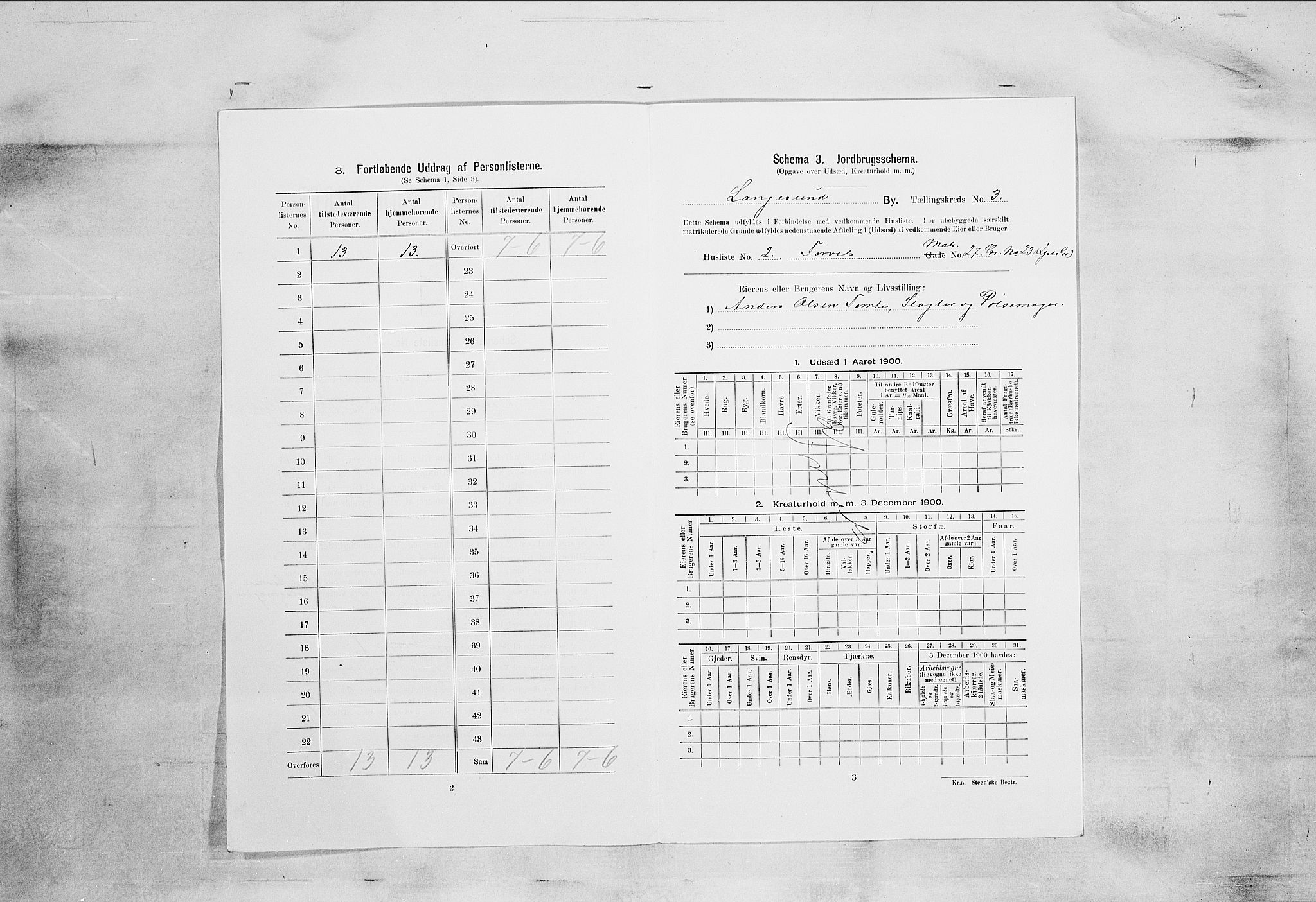 SAKO, 1900 census for Langesund, 1900, p. 808