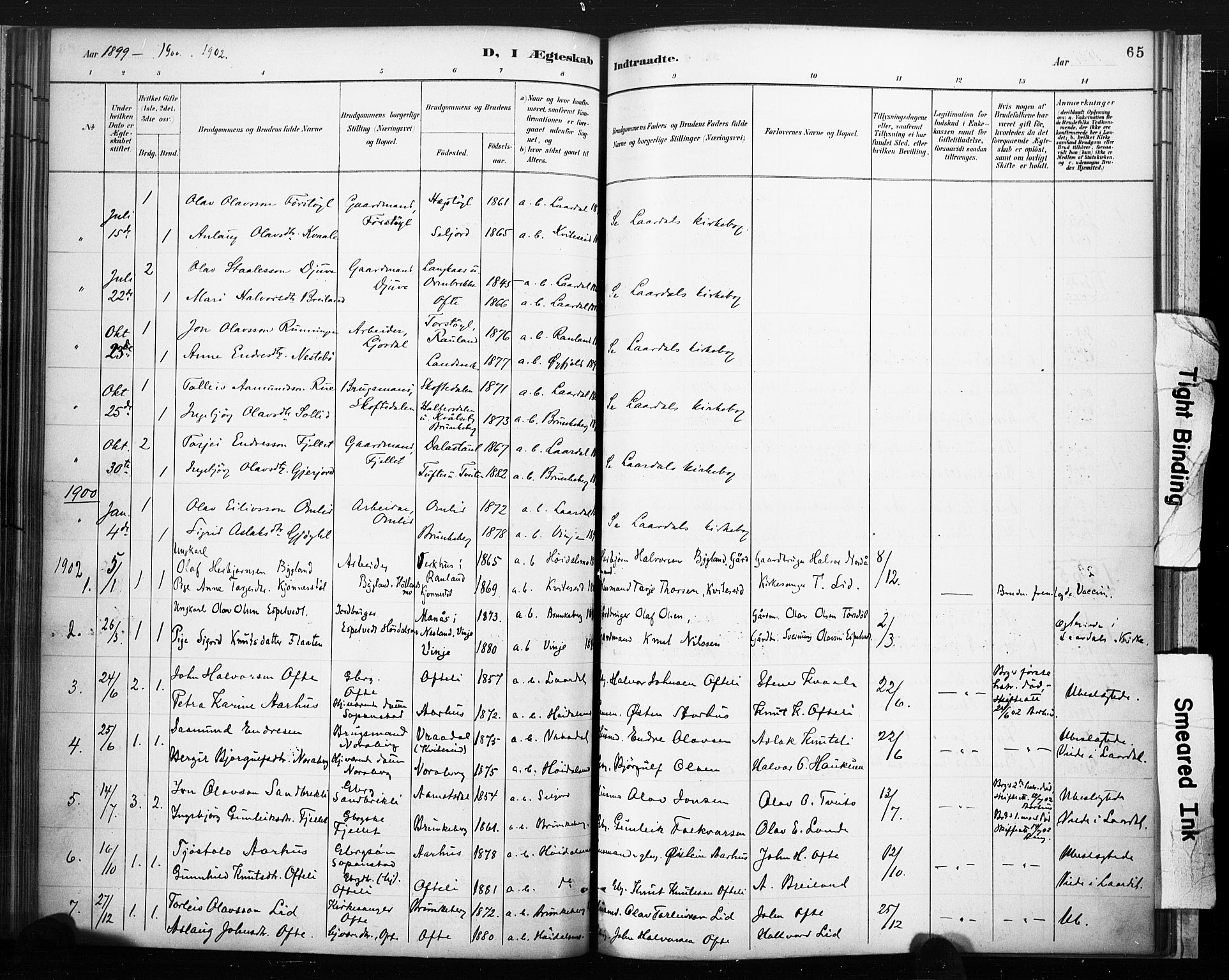 Lårdal kirkebøker, SAKO/A-284/F/Fc/L0002: Parish register (official) no. III 2, 1887-1906, p. 65